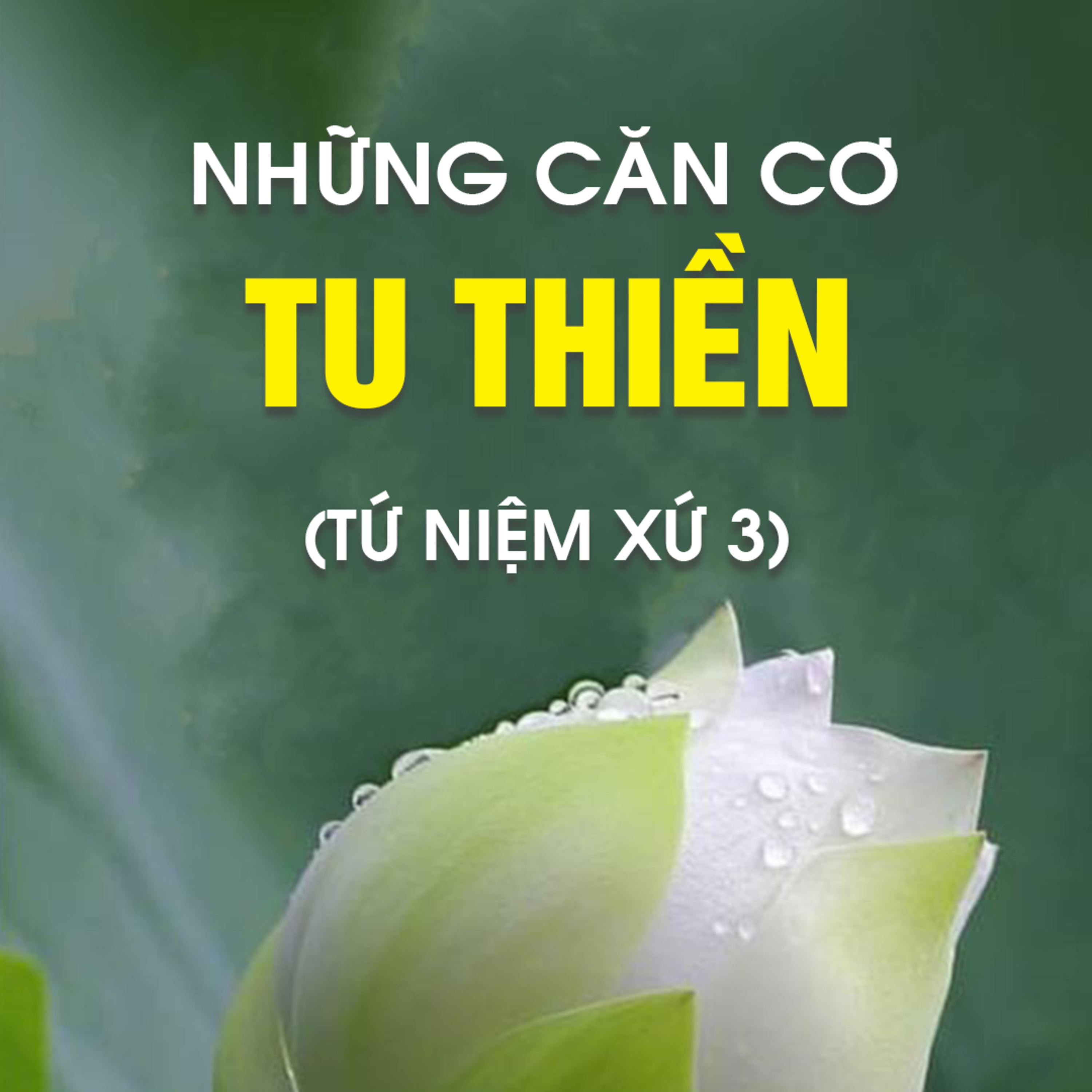 NHỮNG CĂN CƠ TU THIỀN (TỨ NIỆM XỨ 3)