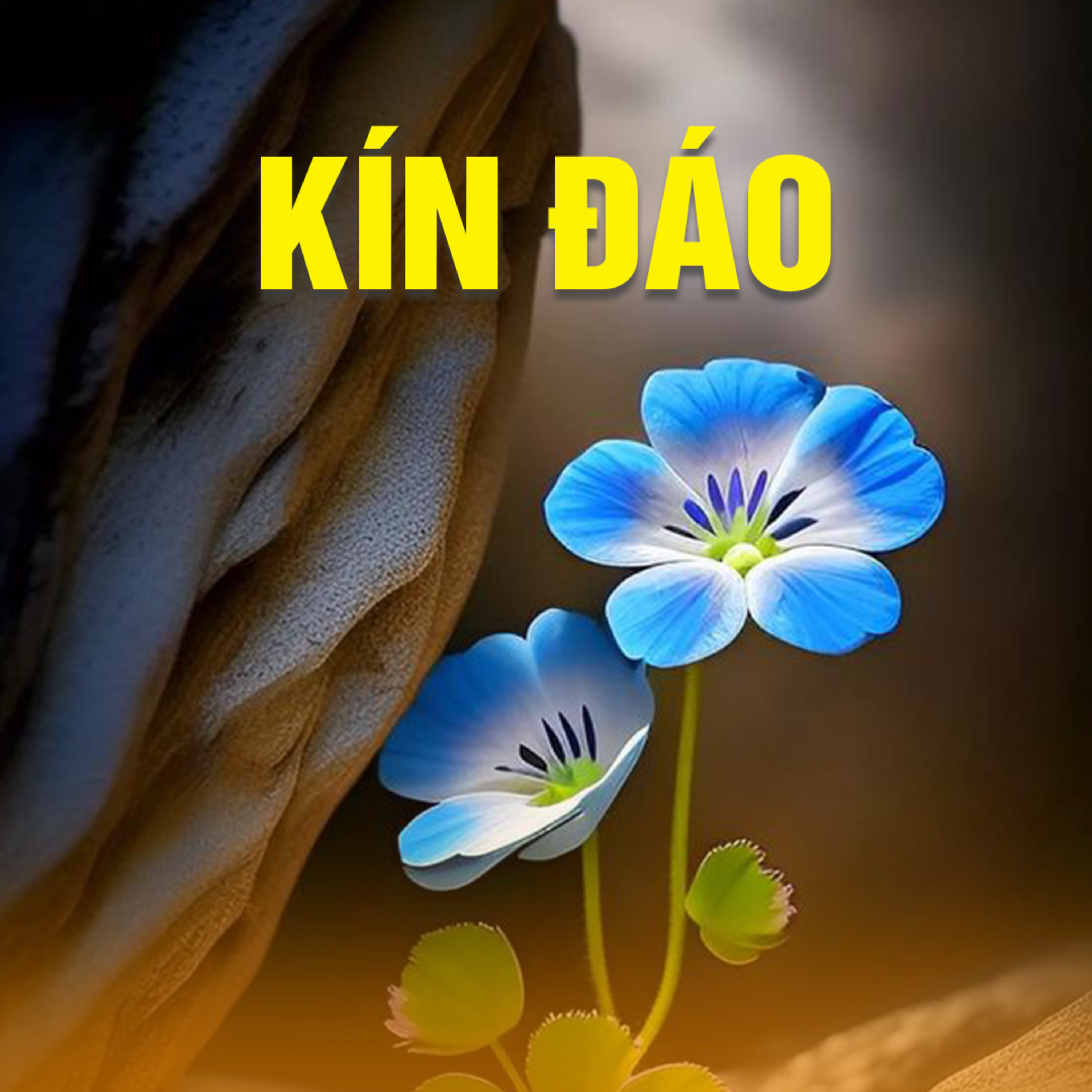 KÍN ĐÁO A episode artwork