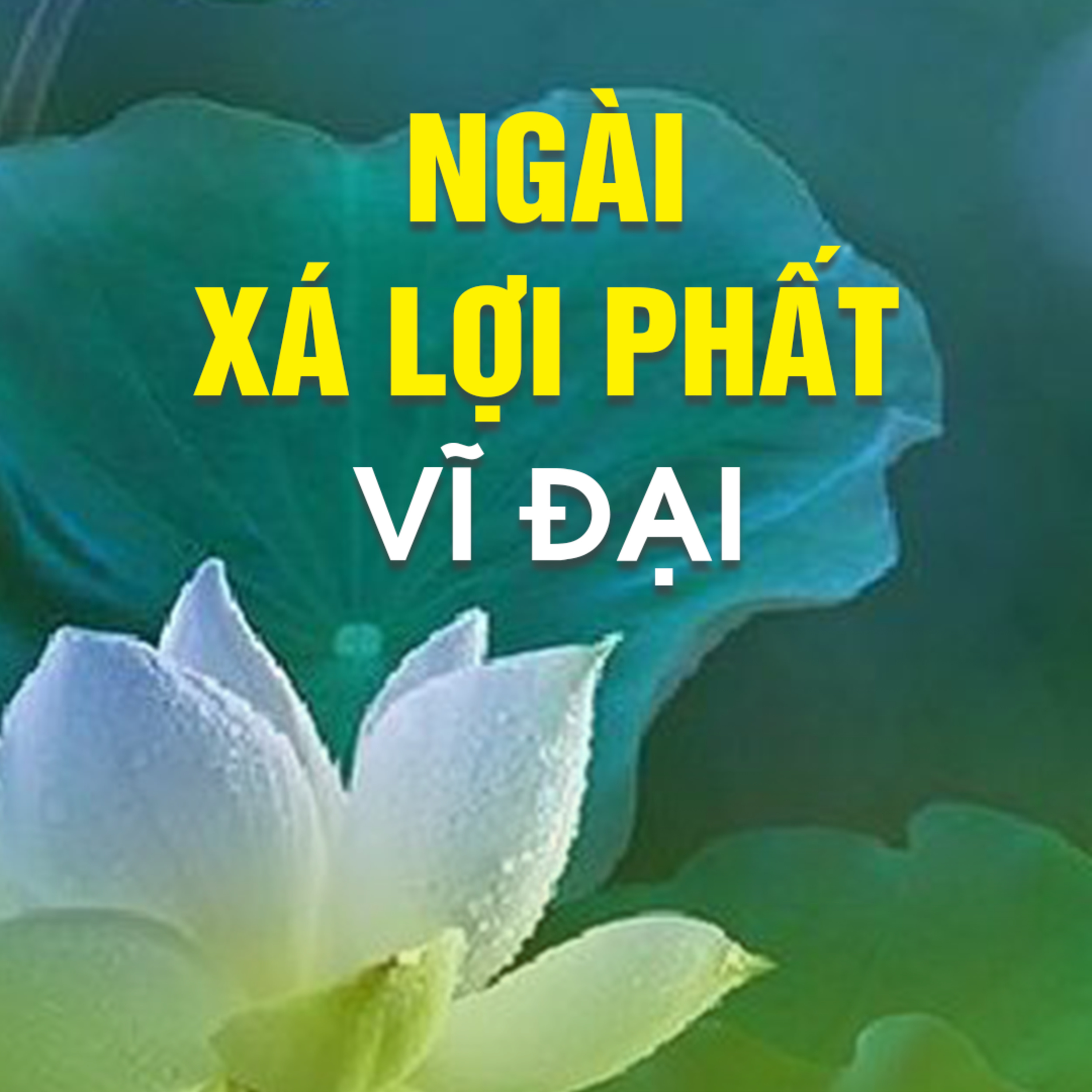 NGÀI XÁ LỢI PHẤT VĨ ĐẠI A - Pháp Cú 