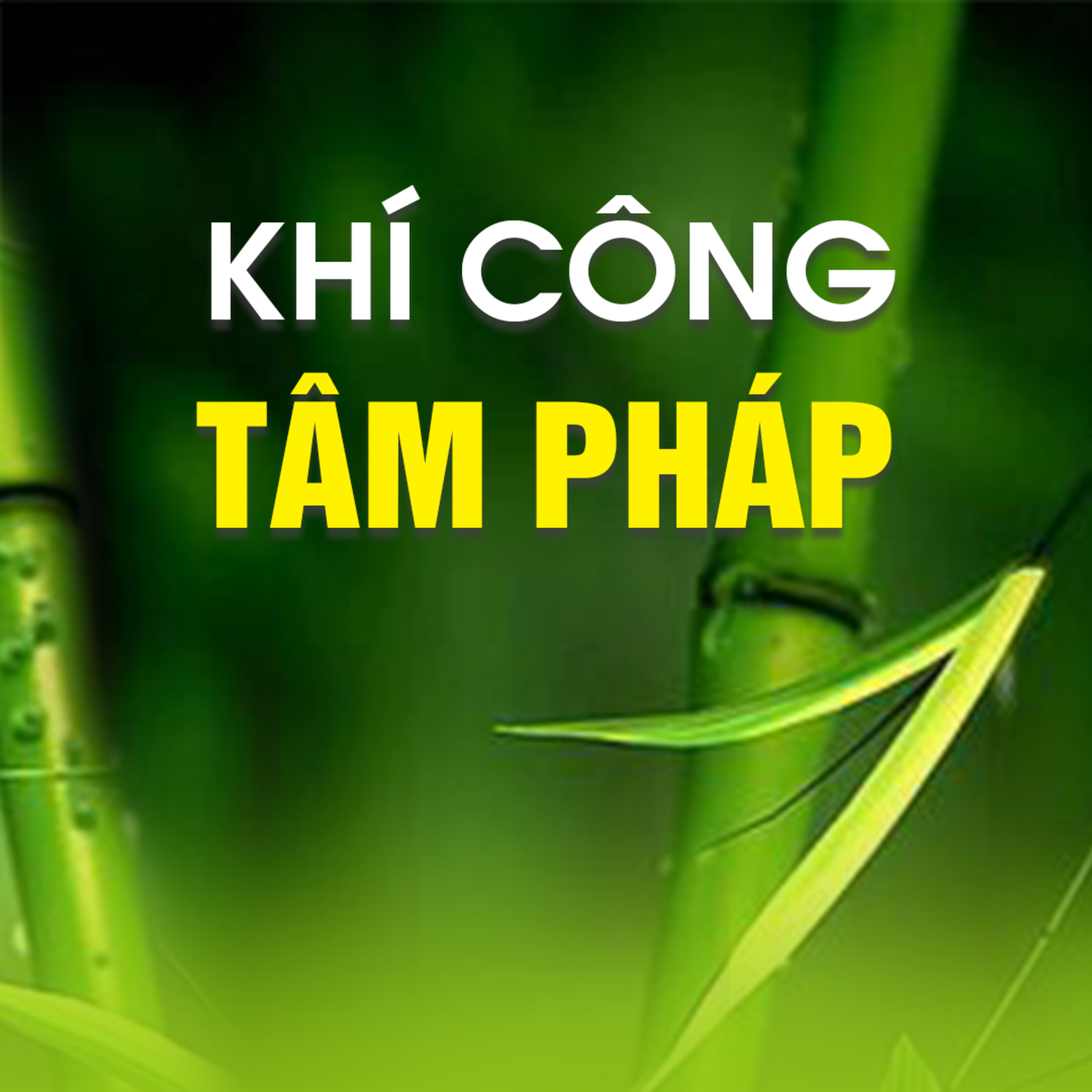 KHÍ CÔNG TÂM PHÁP A episode artwork