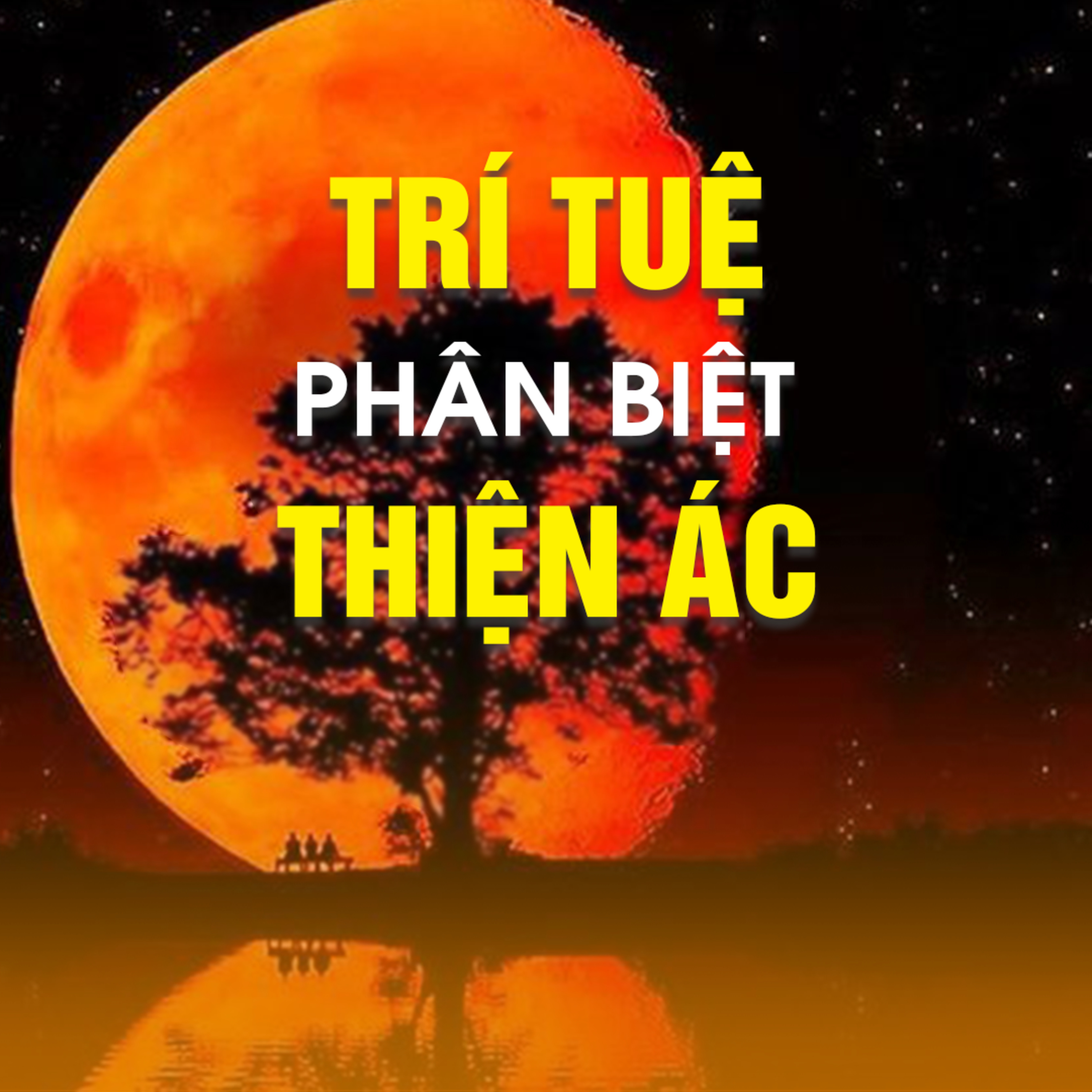 TRÍ TUỆ PHÂN BIỆT THIỆN ÁC B episode artwork