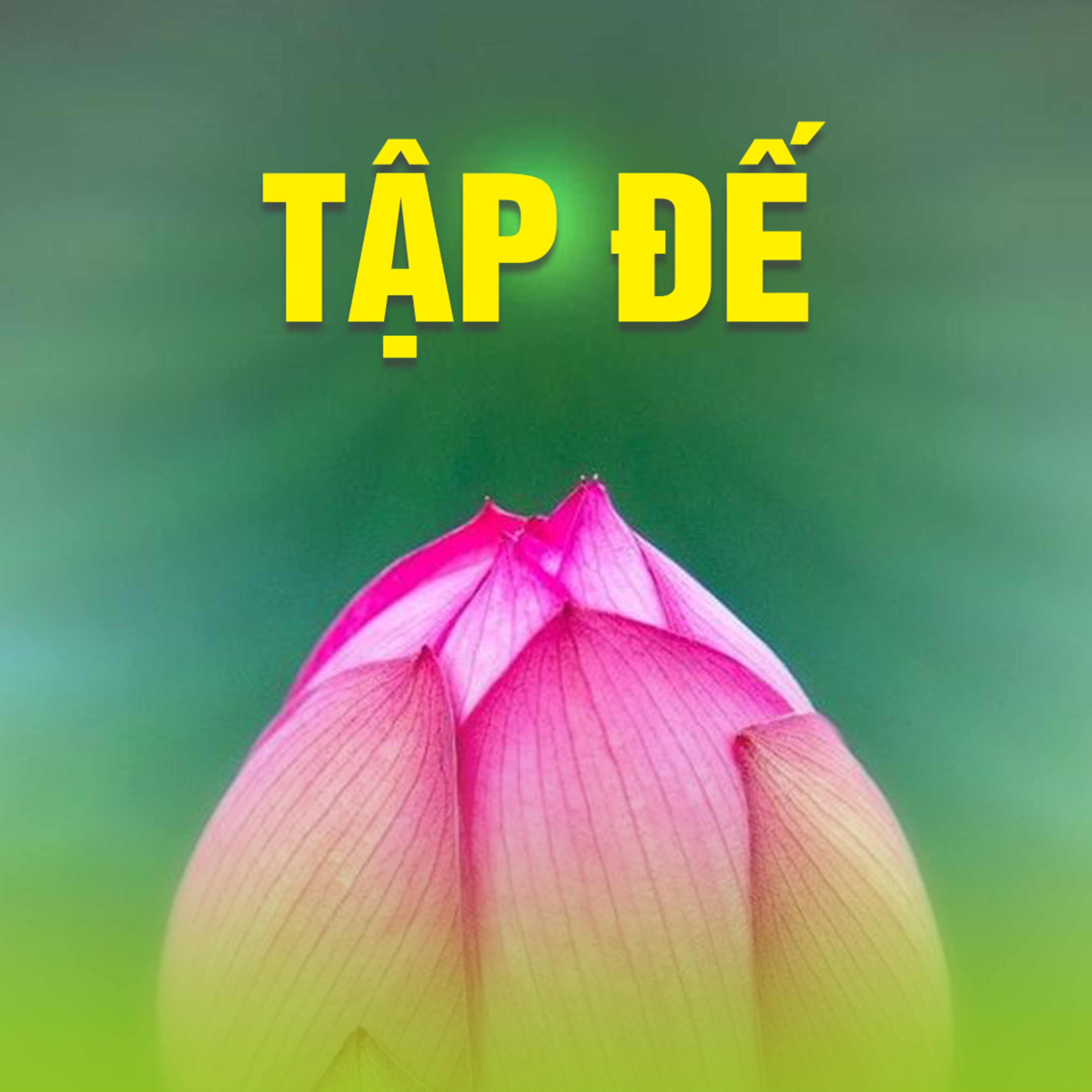 TẬP ĐẾ A episode artwork