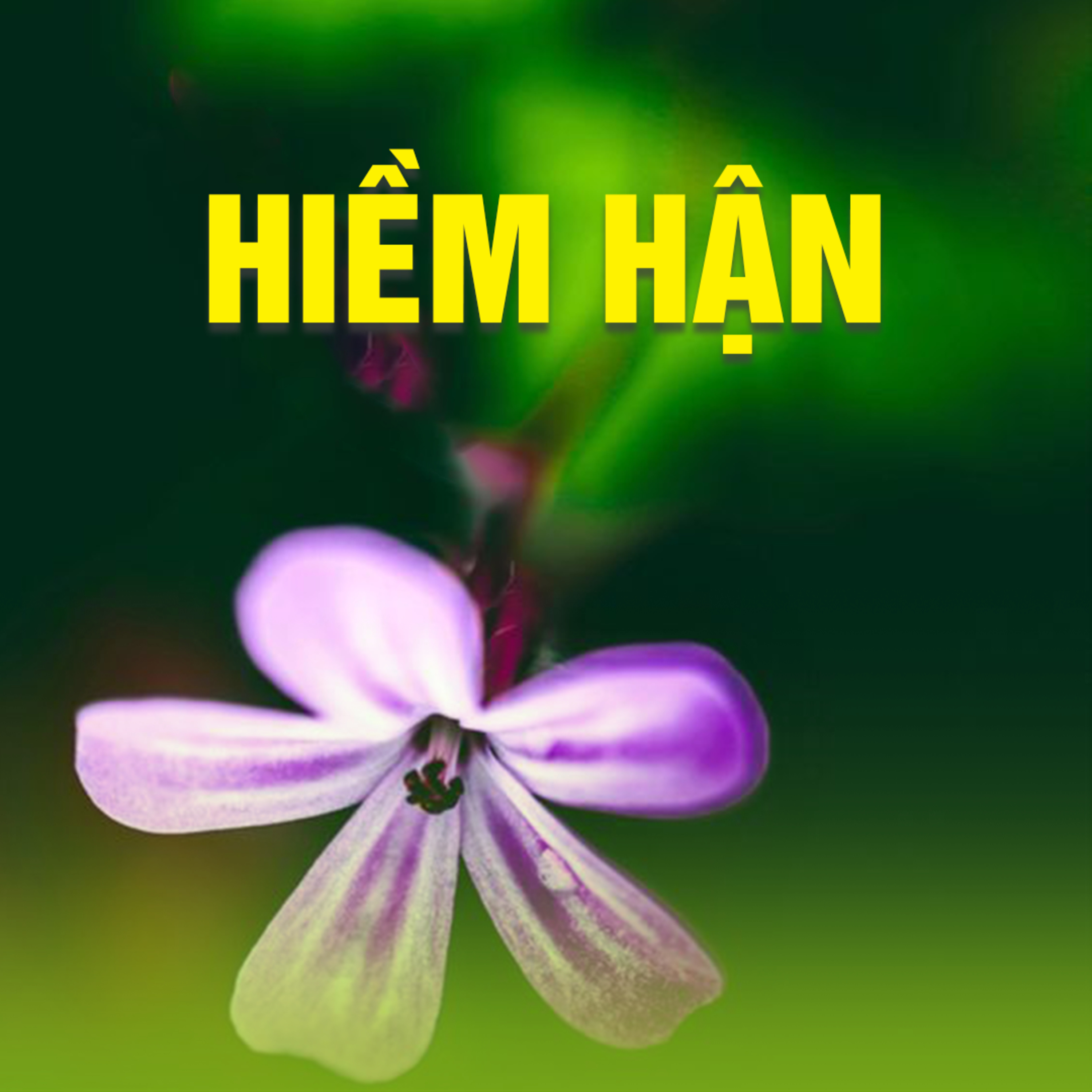 HIỀM HẬN B - Pháp Cú 02  episode artwork