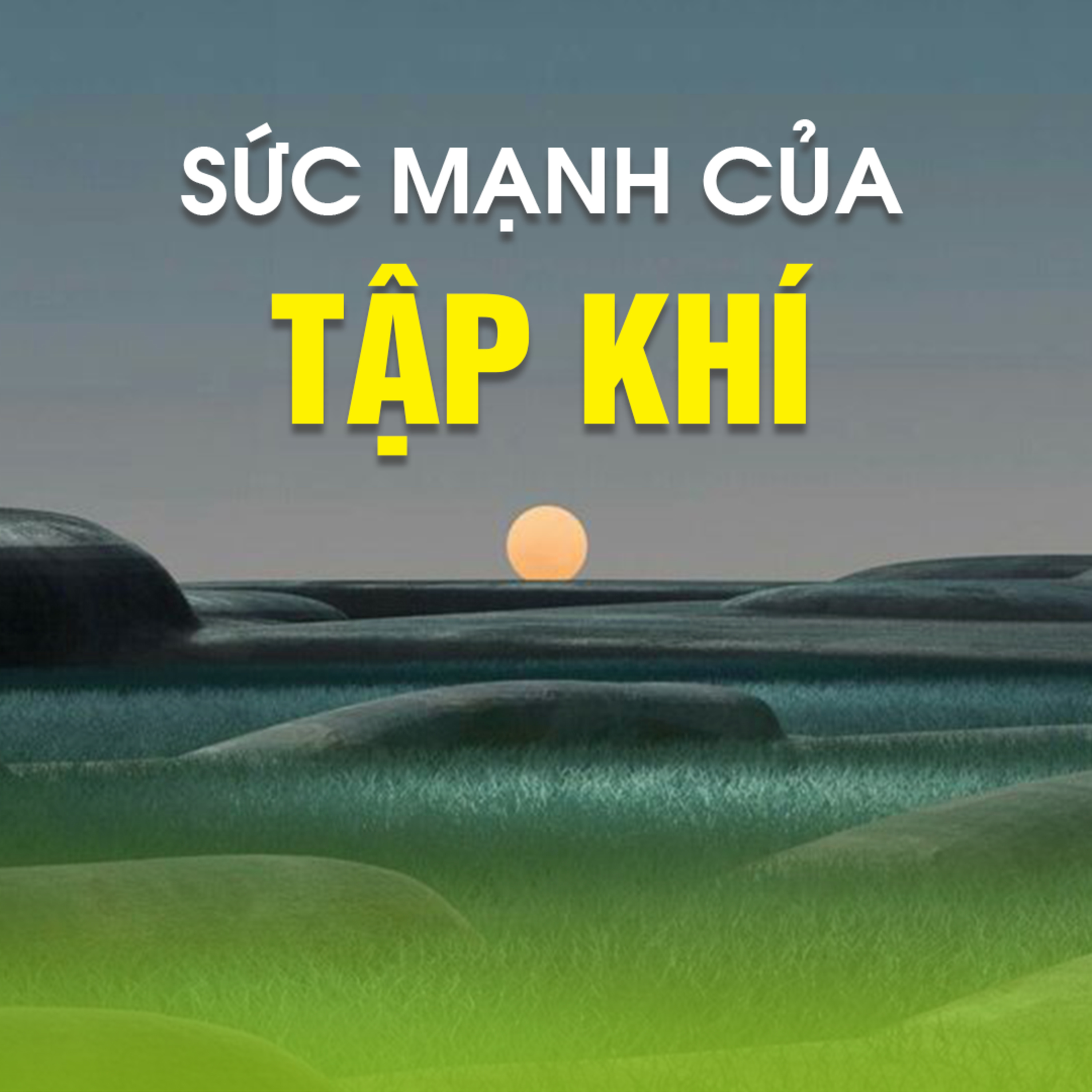 SỨC MẠNH CỦA TẬP KHÍ B - Pháp Cú 85 