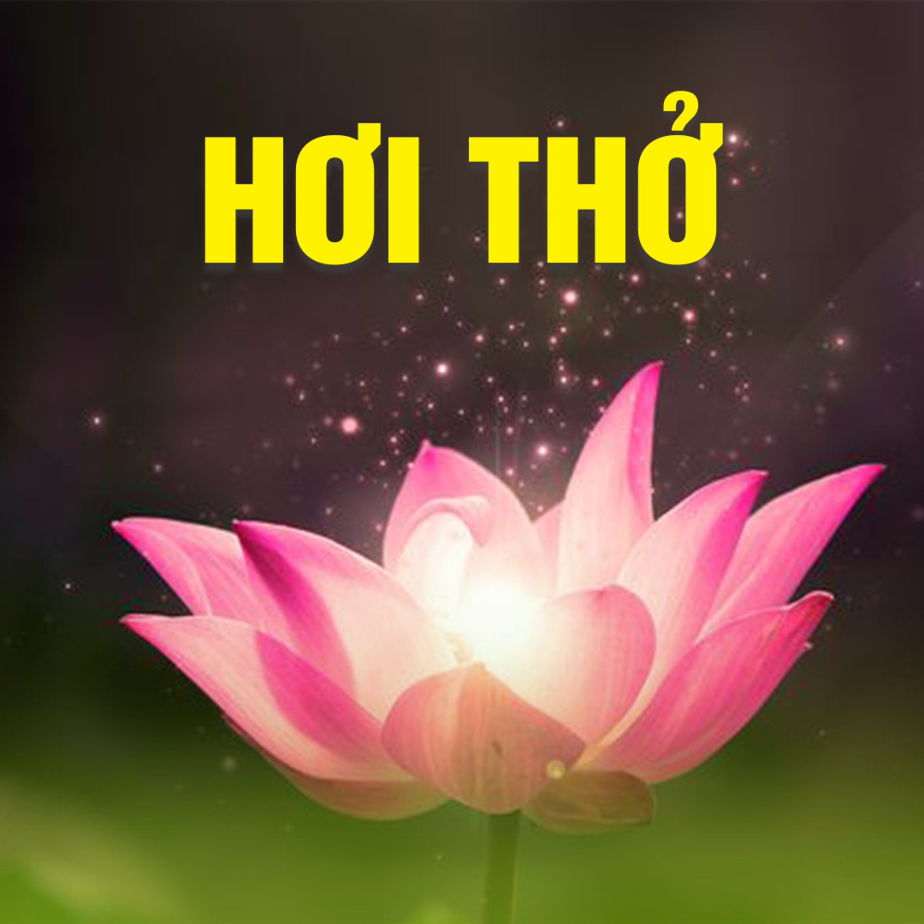HƠI THỞ A episode artwork