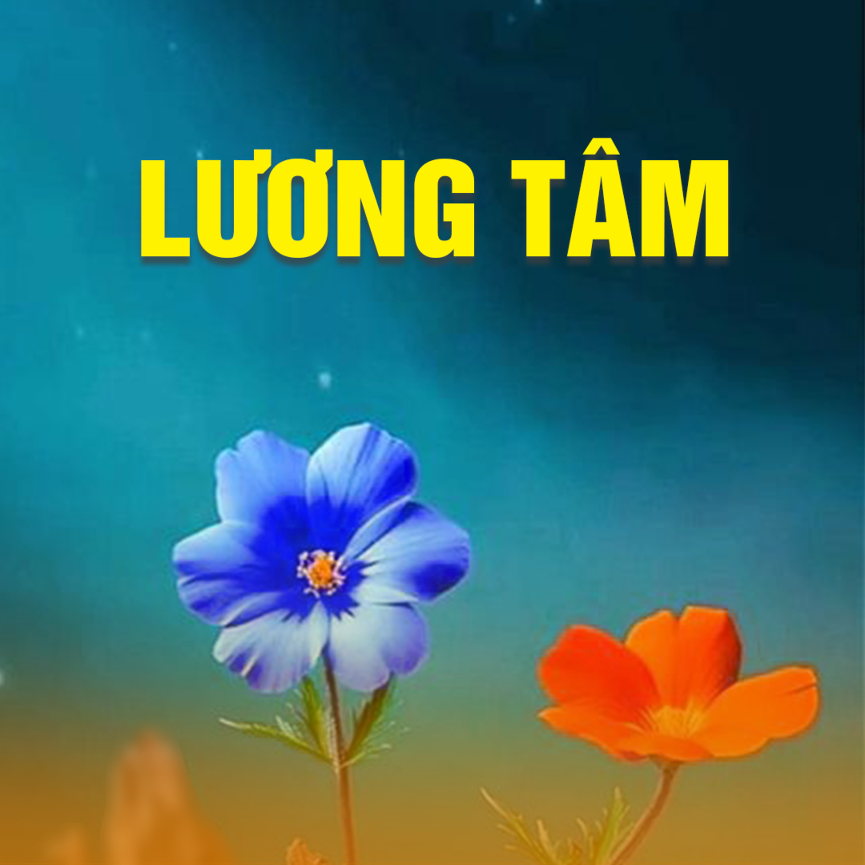 LƯƠNG TÂM B episode artwork