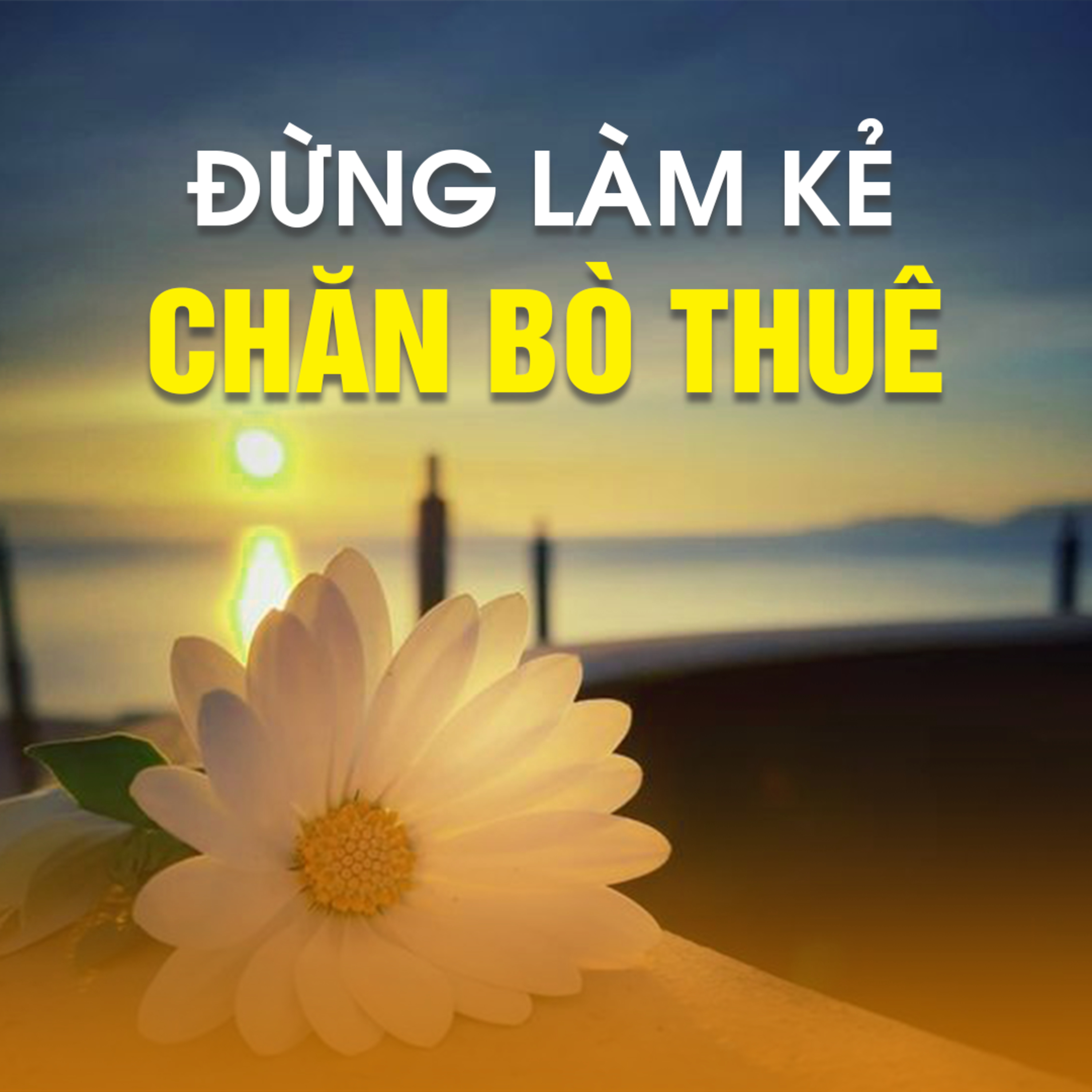 ĐỪNG LÀM KẺ CHĂN BÒ THUÊ B - Pháp Cú 08  episode artwork