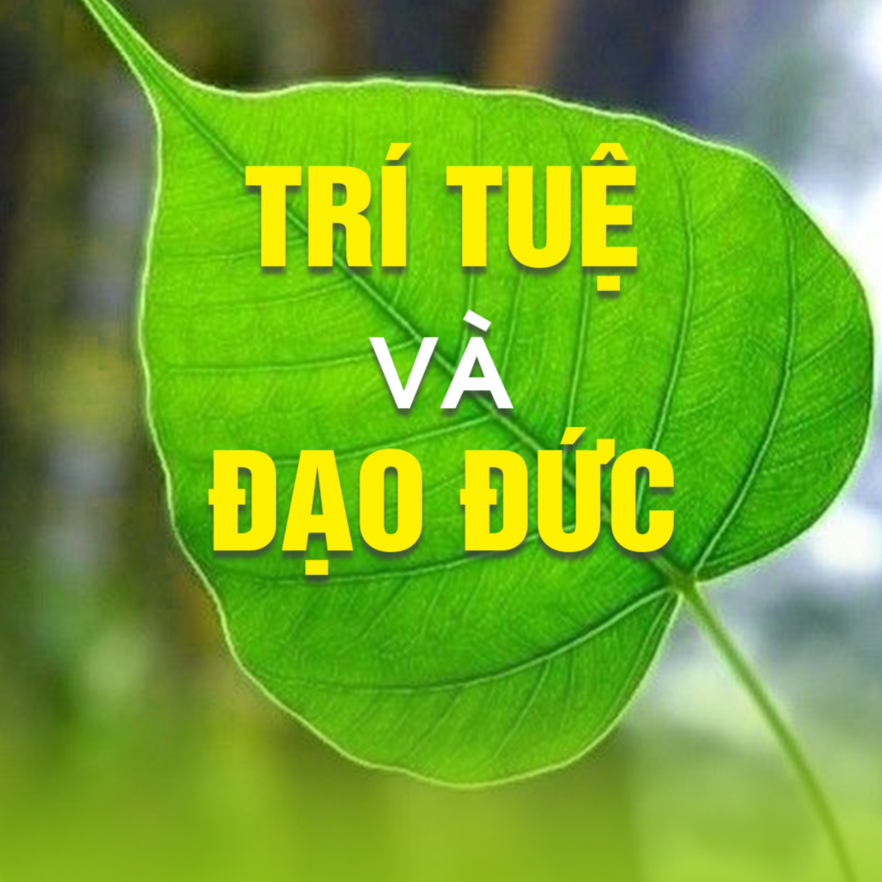 TRÍ TUỆ VÀ ĐẠO ĐỨC  episode artwork