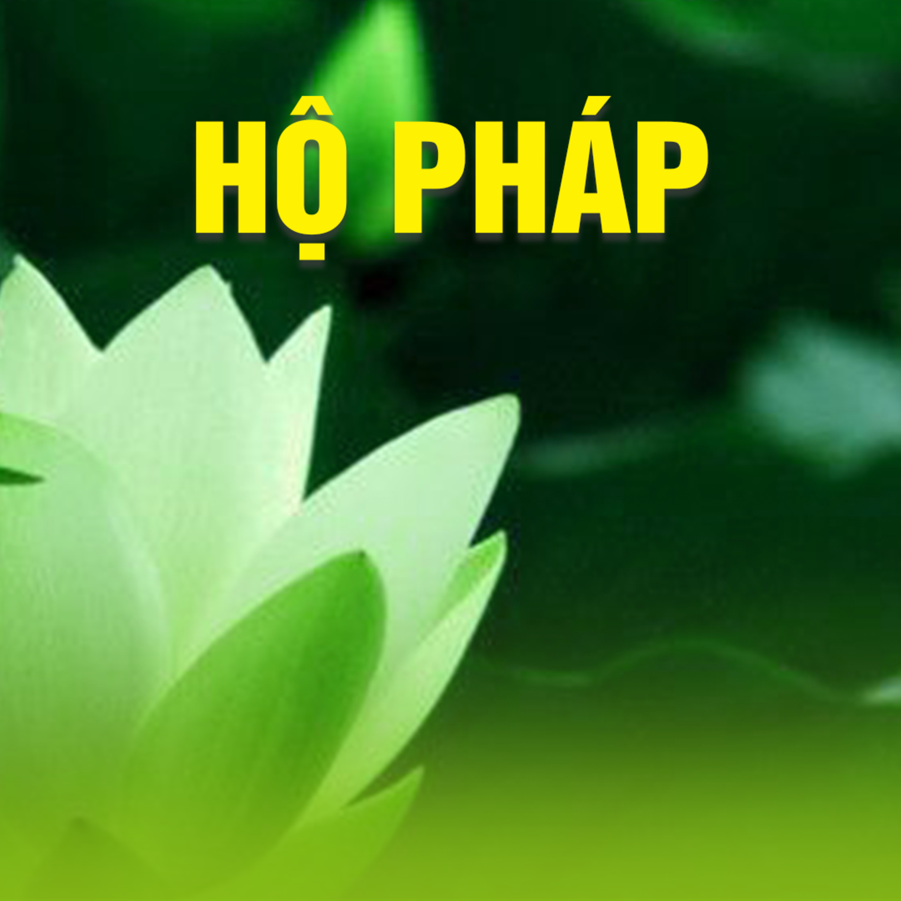 HỘ PHÁP  episode artwork