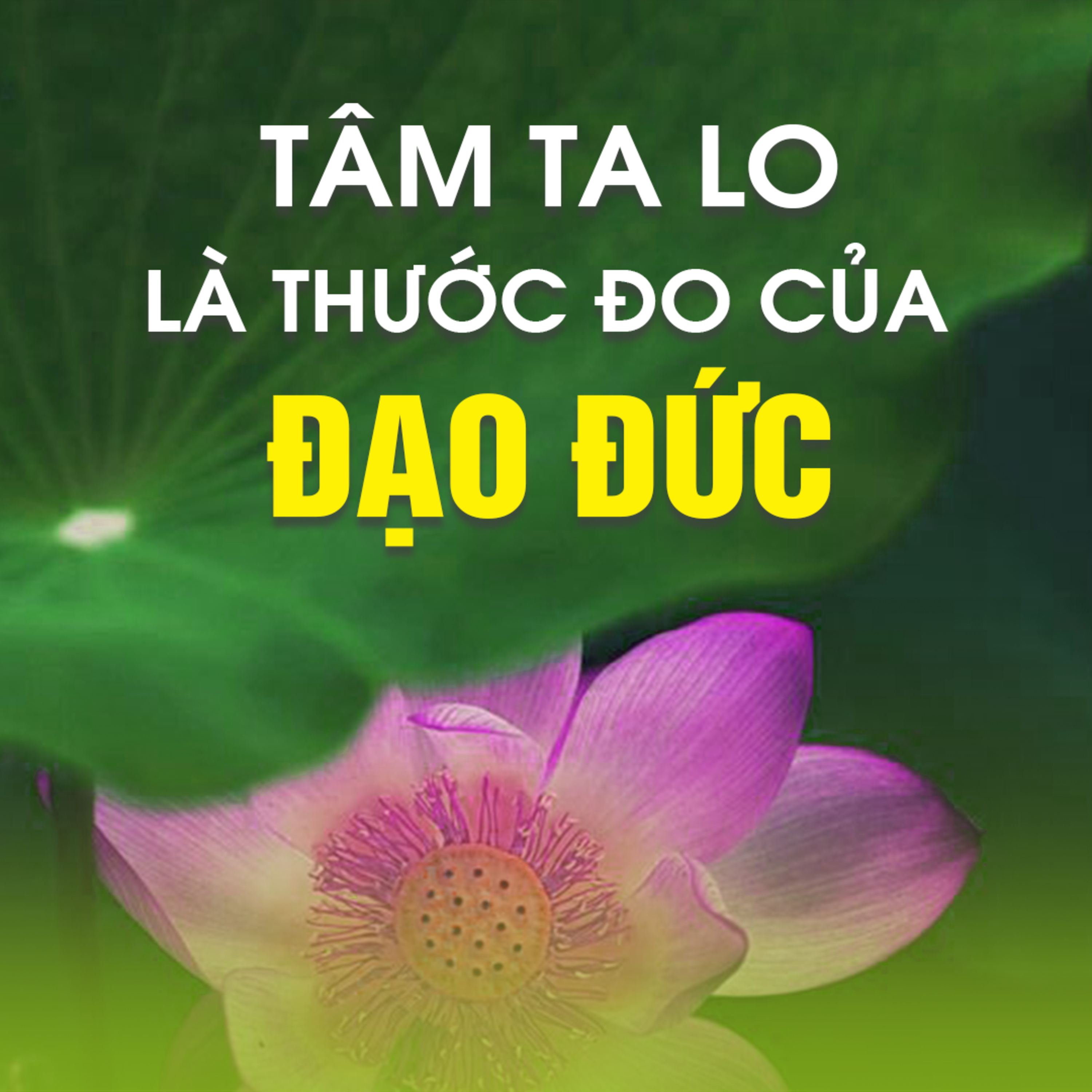 TÂM TA LO LÀ THƯỚC ĐO CỦA ĐẠO ĐỨC 