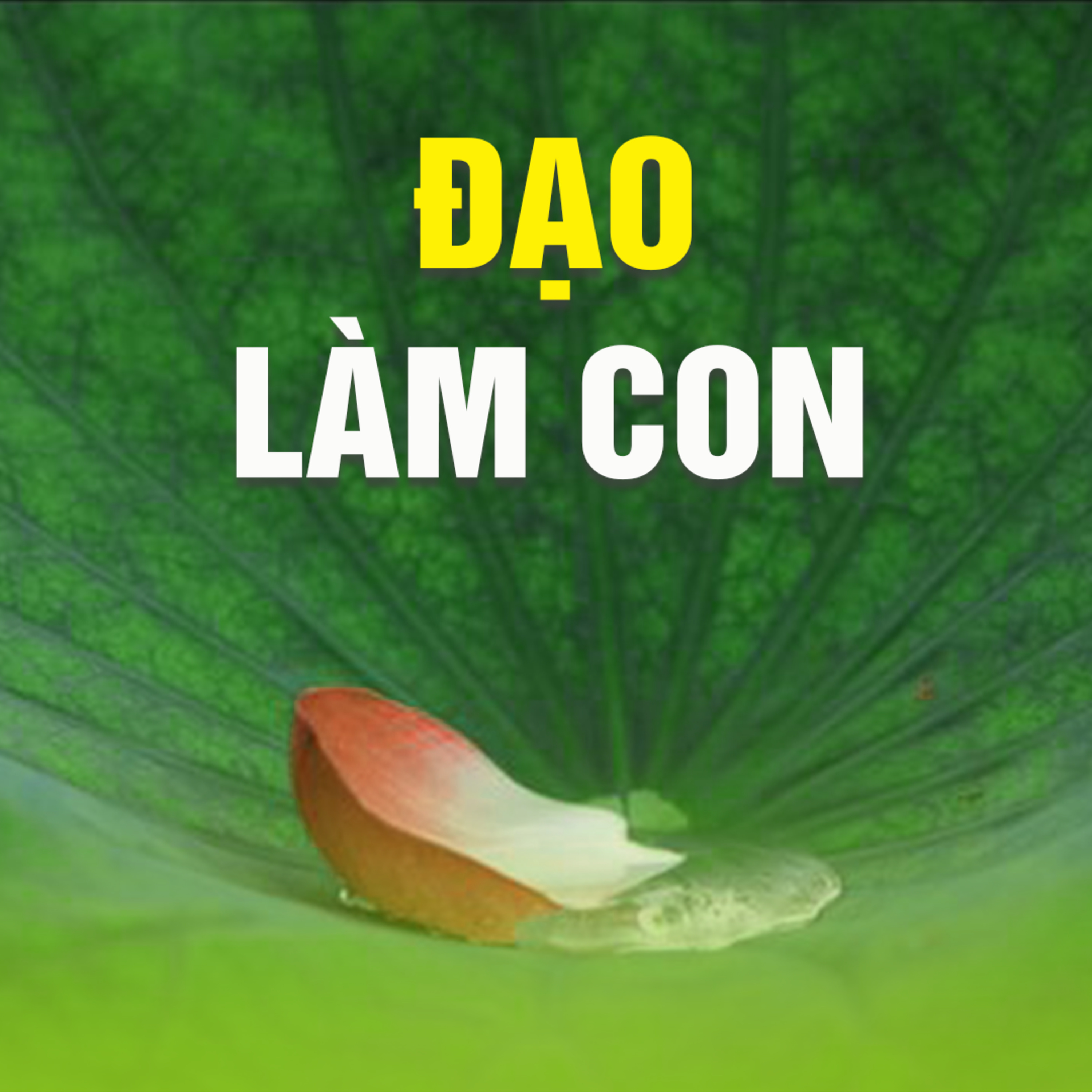 ĐẠO LÀM CON A episode artwork