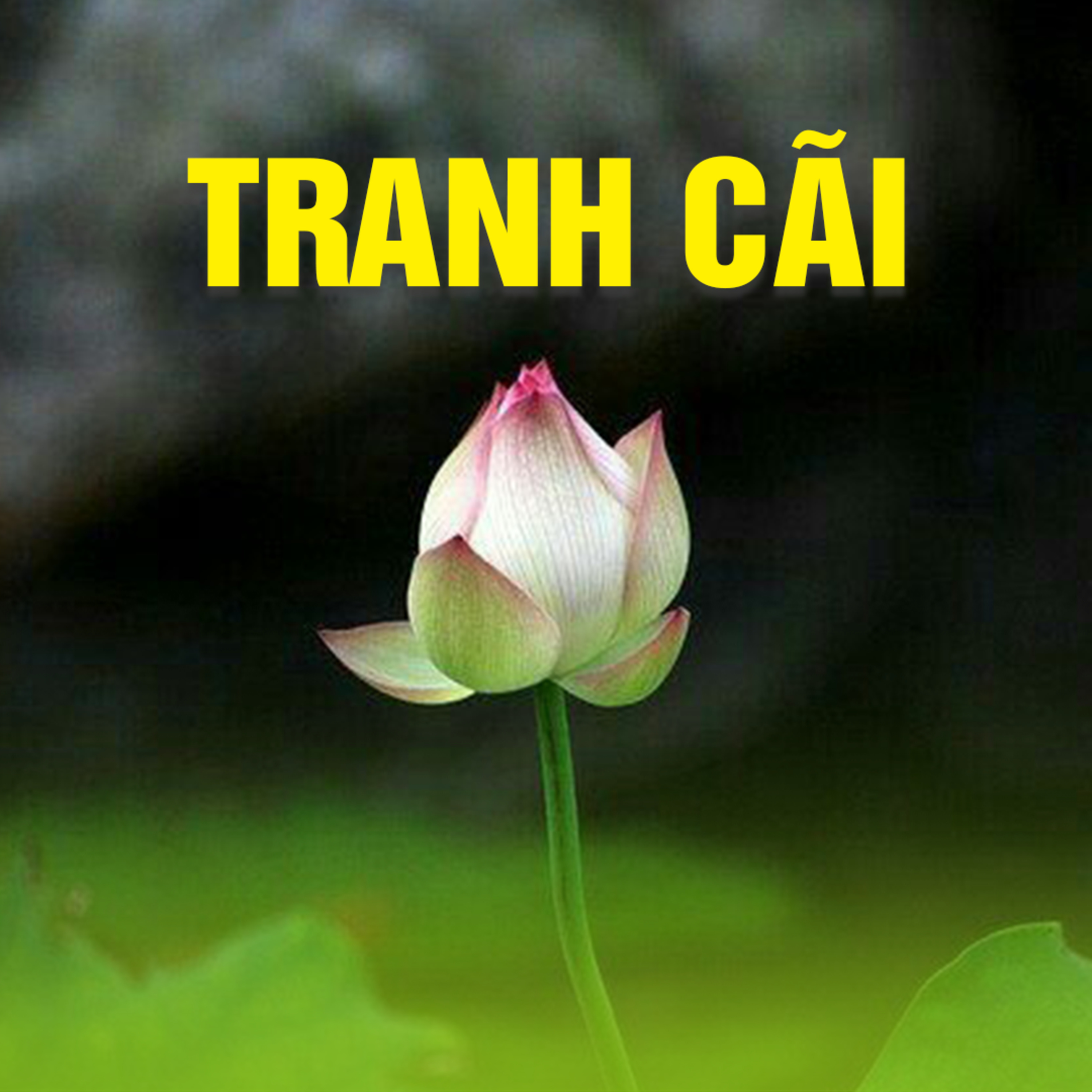 TRANH CÃI B - Pháp Cú 03  episode artwork