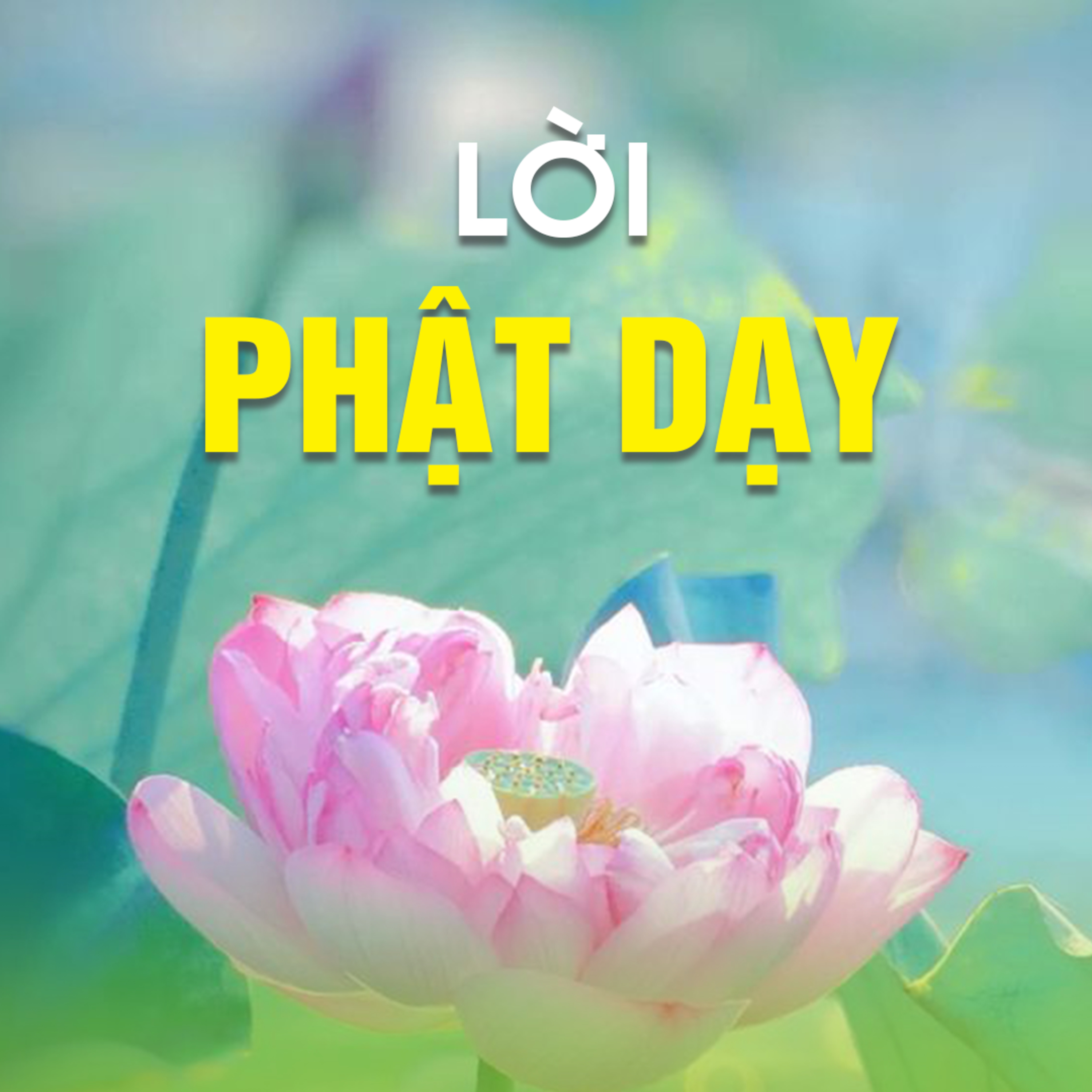LỜI PHẬT DẠY A - Pháp Cú 54  episode artwork