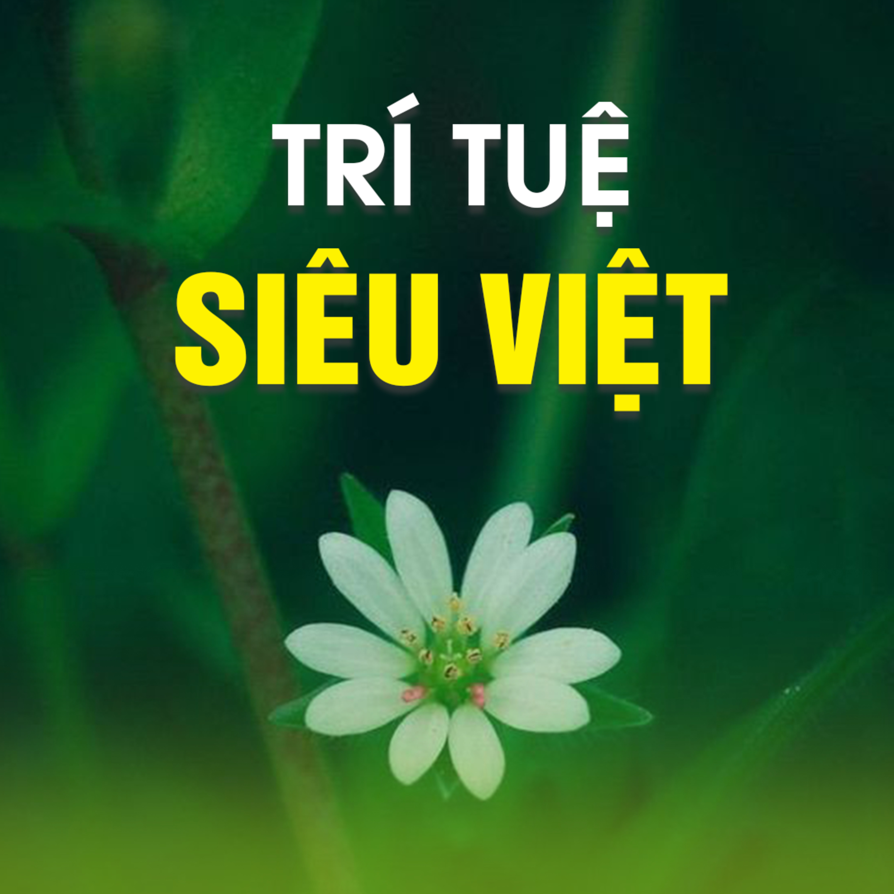 TRÍ TUỆ SIÊU VIỆT - BÁT NHÃ TÂM KINH 01 A episode artwork