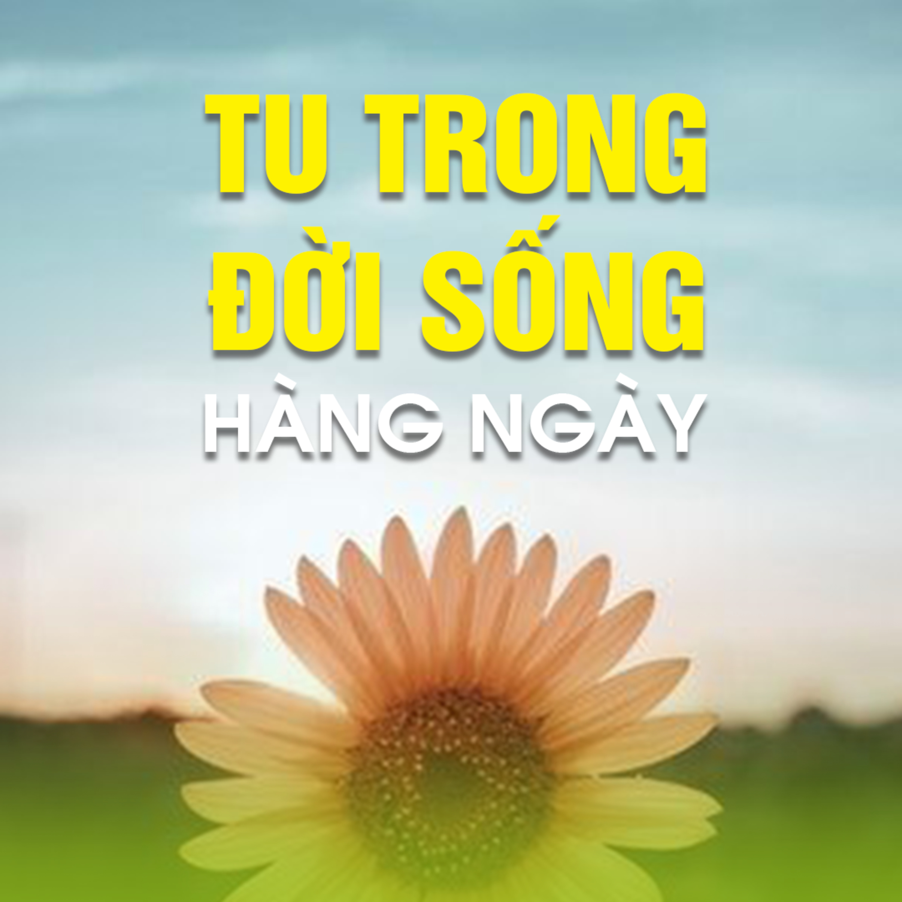 TU TRONG ĐỜI SỐNG HÀNG NGÀY A  episode artwork