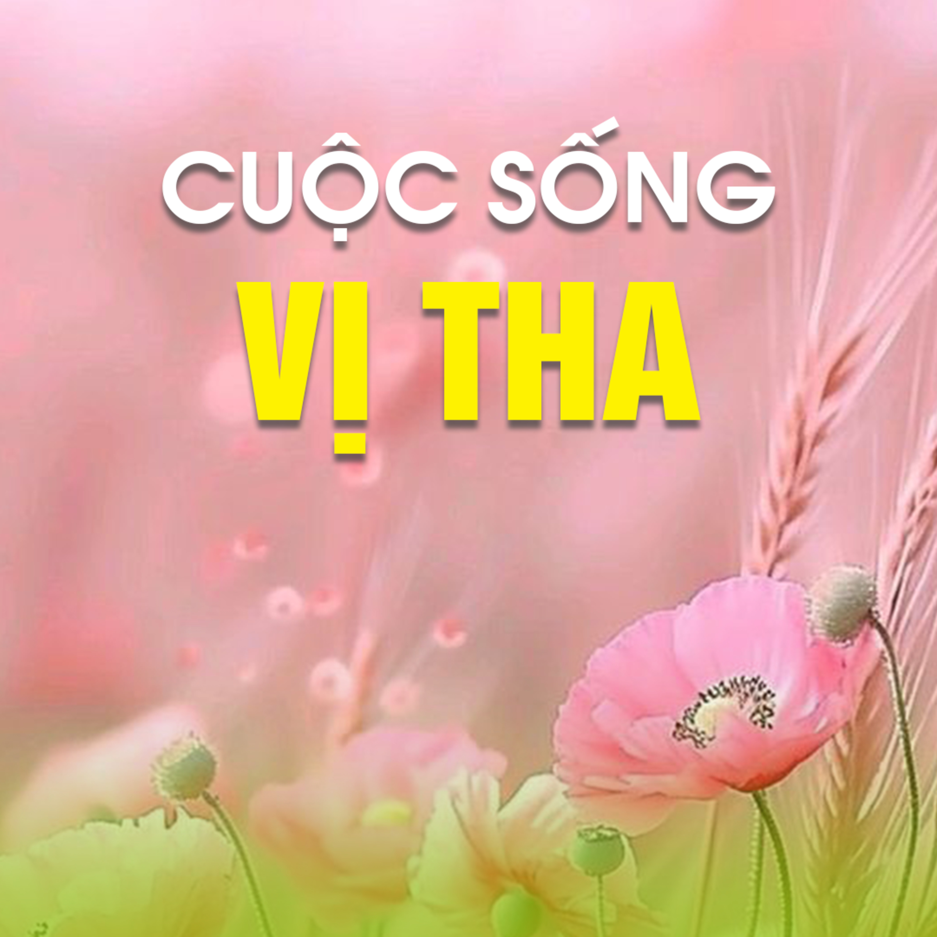 CUỘC SỐNG VỊ THA B episode artwork