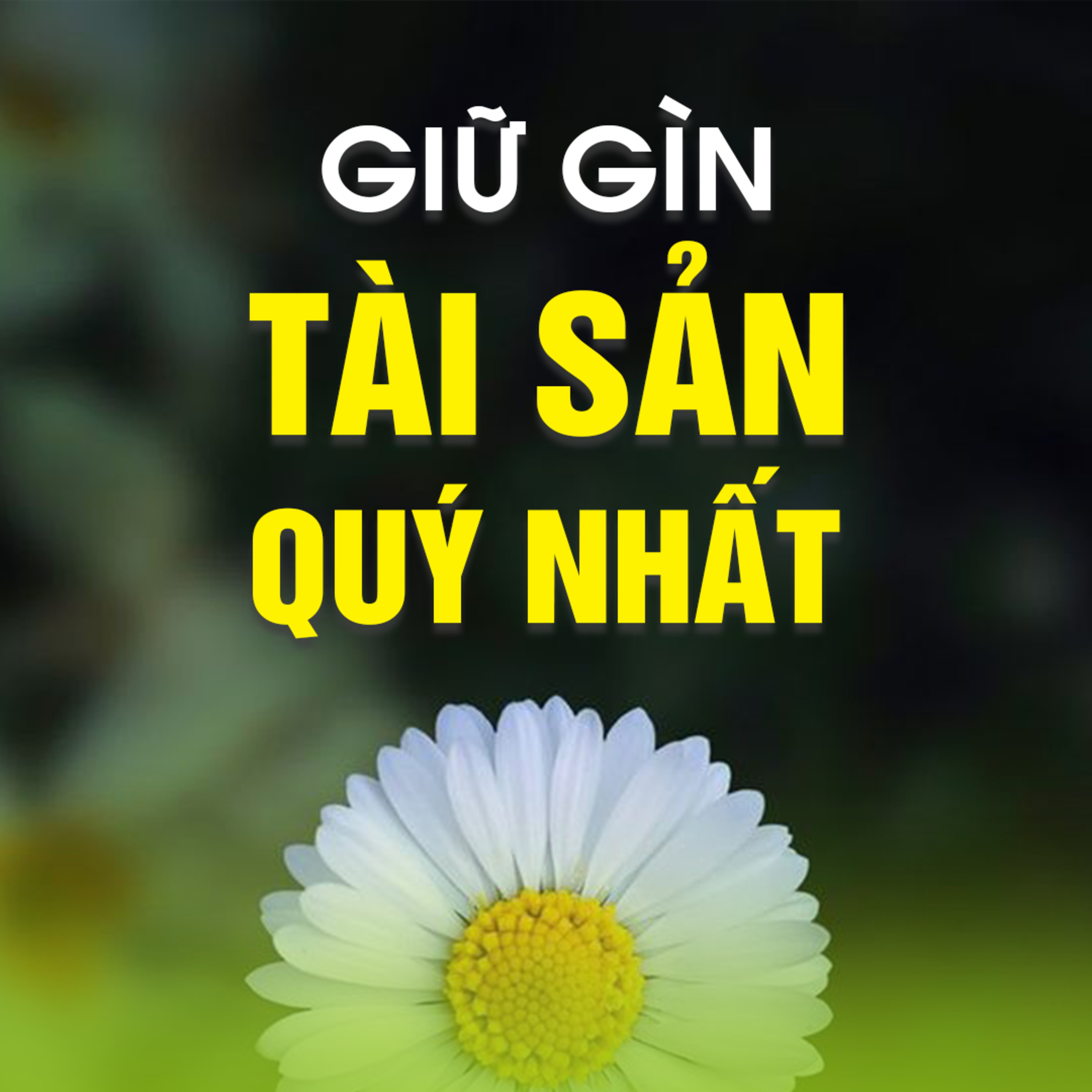 GIỮ GÌN TÀI SẢN QUÝ NHẤT A episode artwork