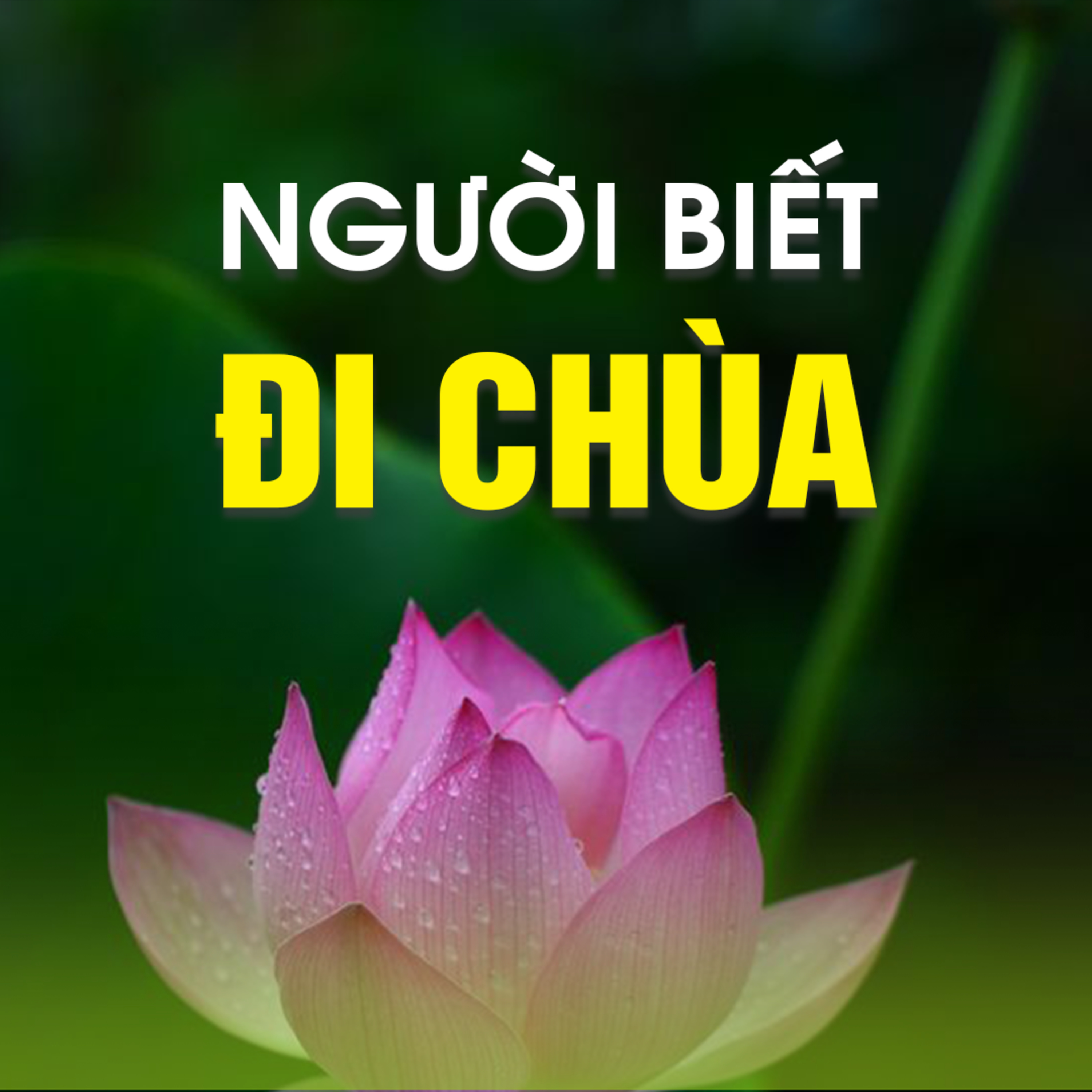 NGƯỜI BIẾT ĐI CHÙA B episode artwork