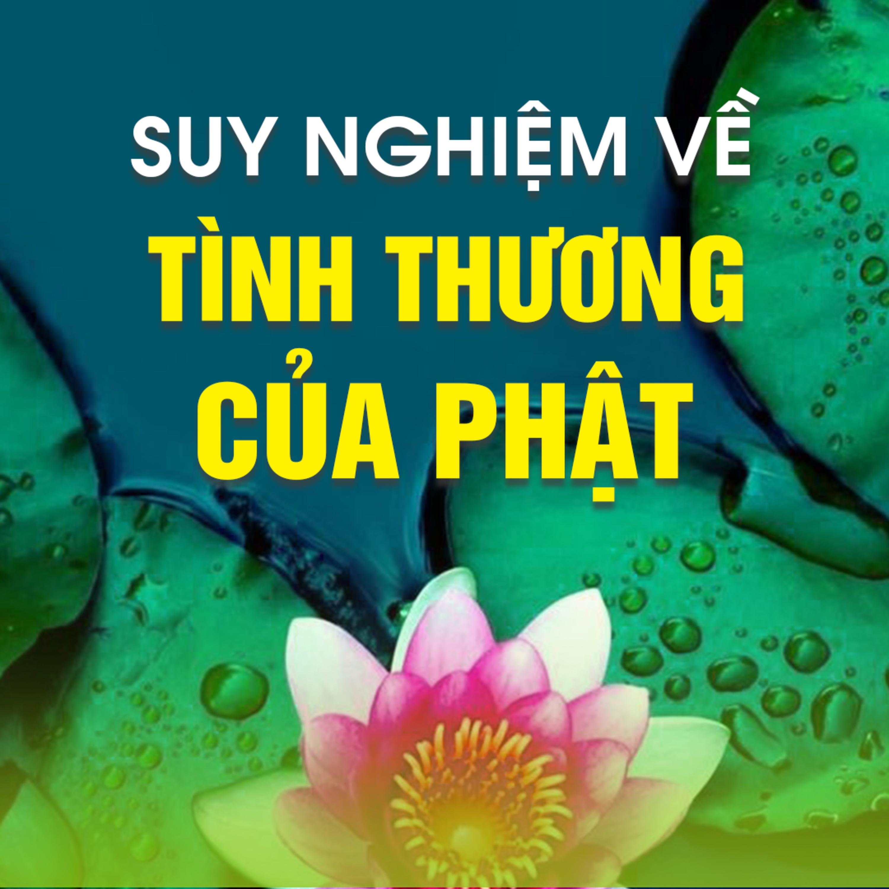 SUY NGHIỆM VỀ TÌNH THƯƠNG CỦA PHẬT 