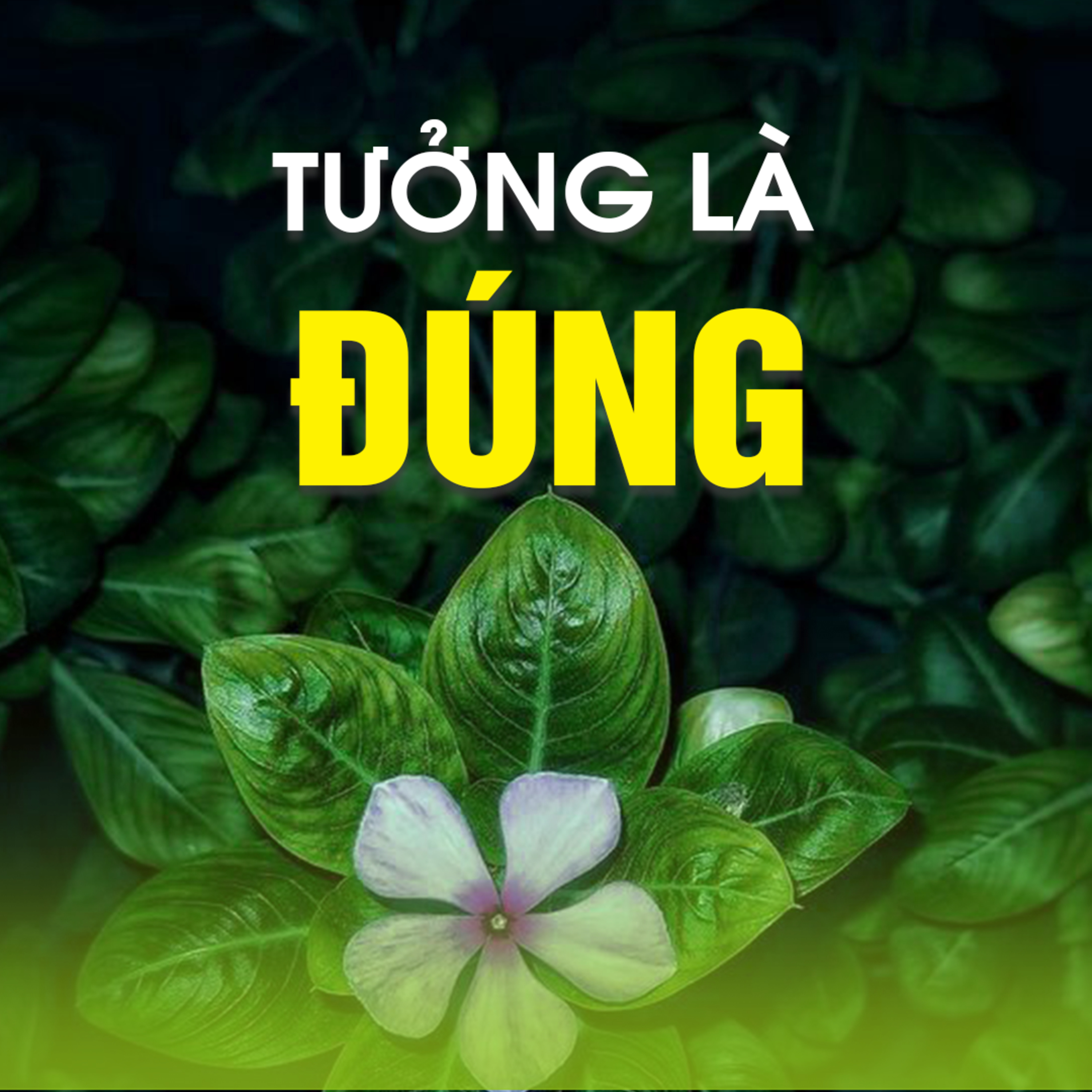 TƯỞNG LÀ ĐÚNG A - Pháp Cú 05  episode artwork