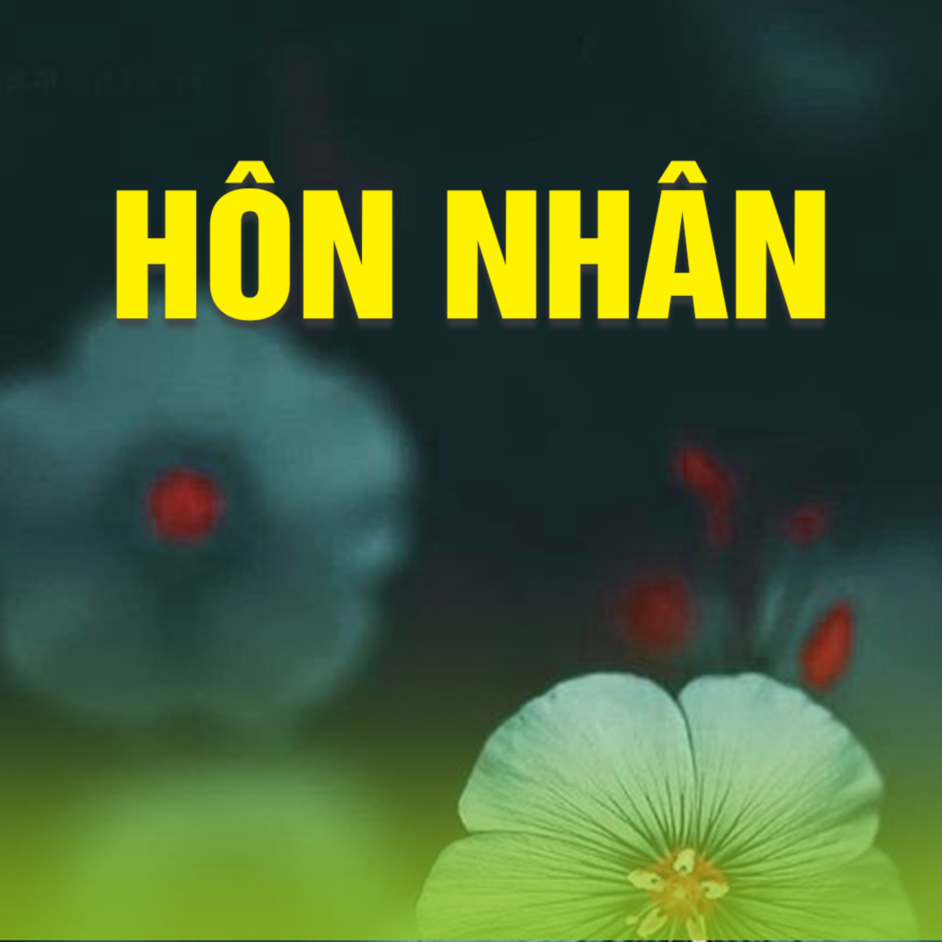 HÔN NHÂN A episode artwork