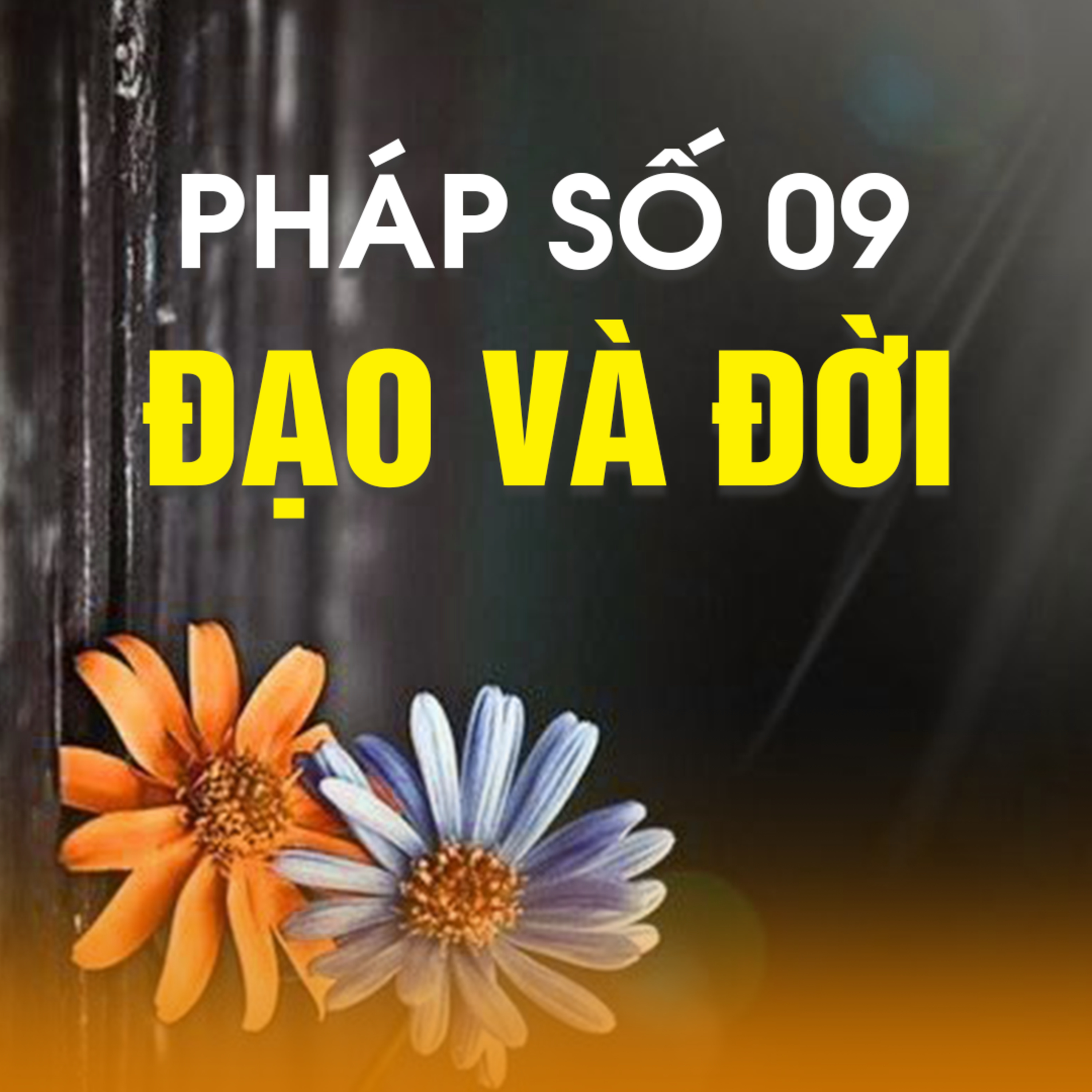 PHÁP SỐ 09 - ĐẠO VÀ ĐỜI  episode artwork