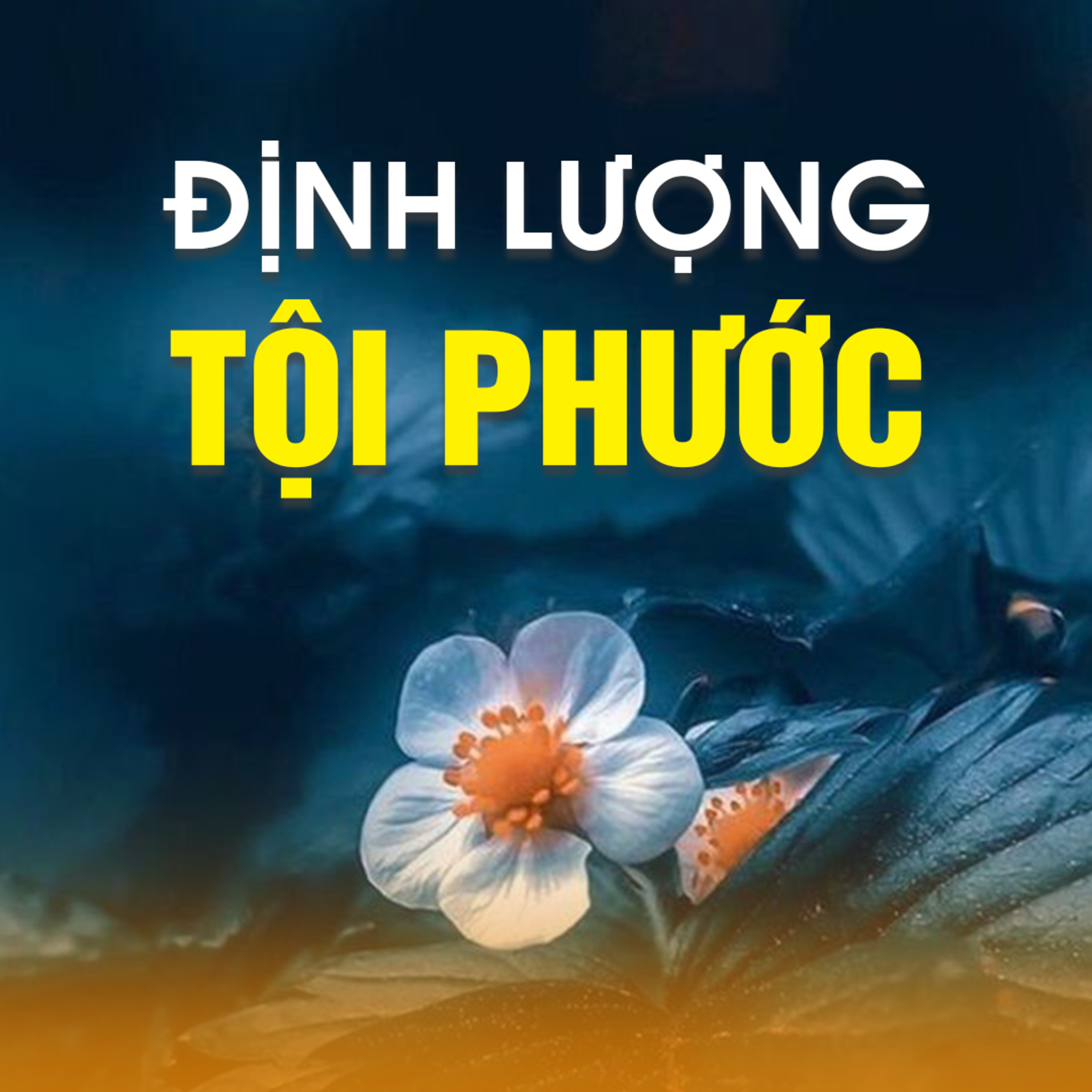 ĐỊNH LƯỢNG TỘI PHƯỚC  episode artwork