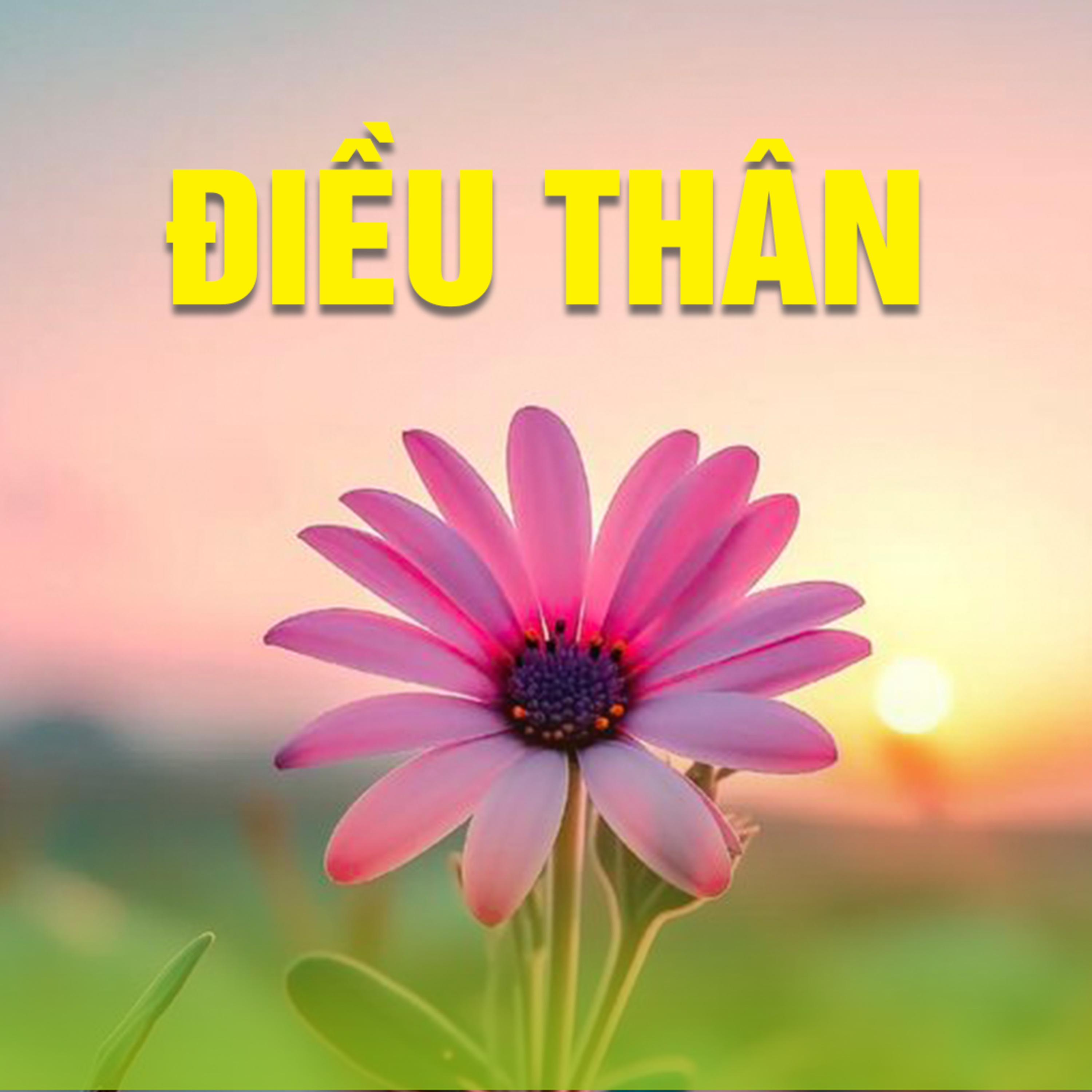 ĐIỀU THÂN B episode artwork