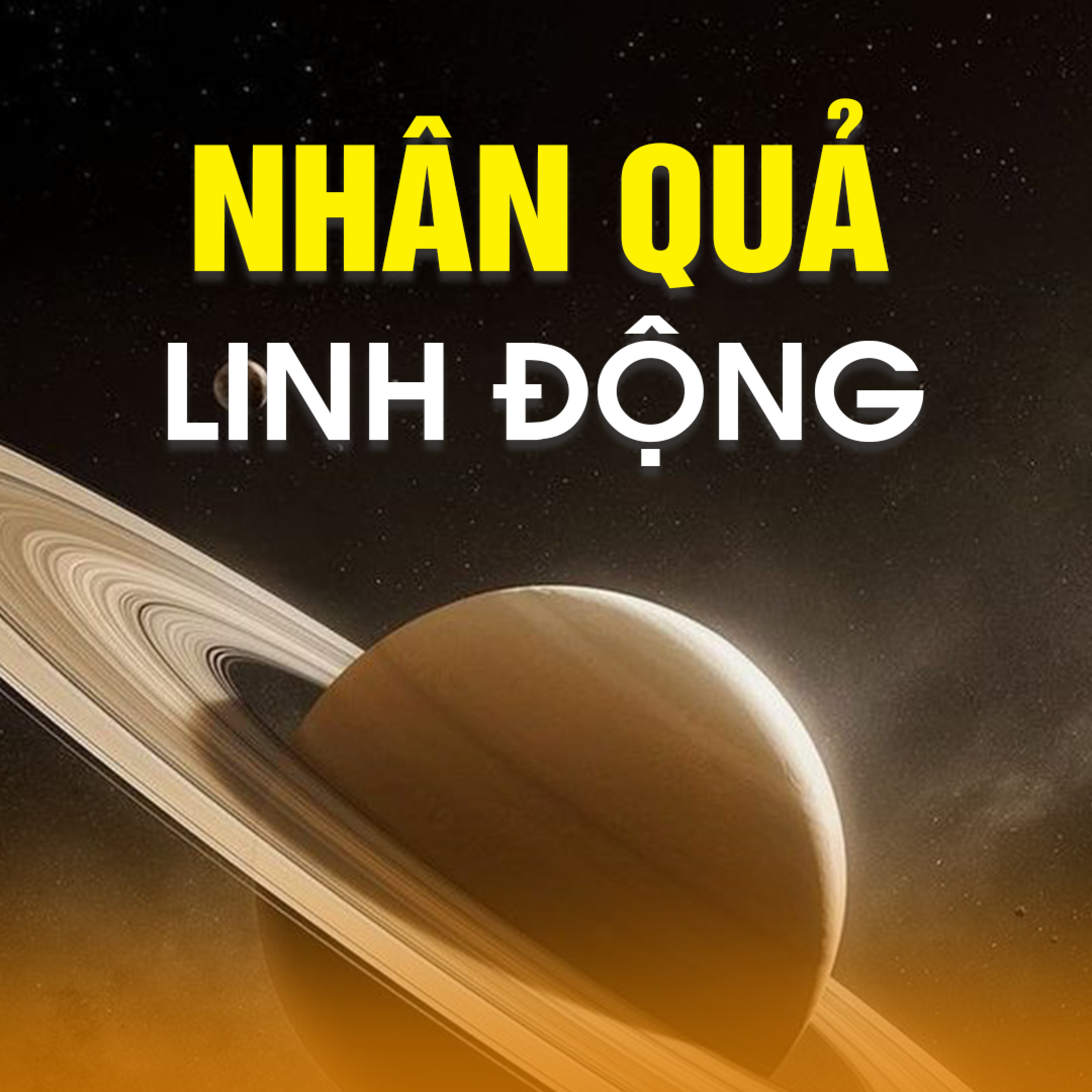 NHÂN QUẢ LINH ĐỘNG B episode artwork