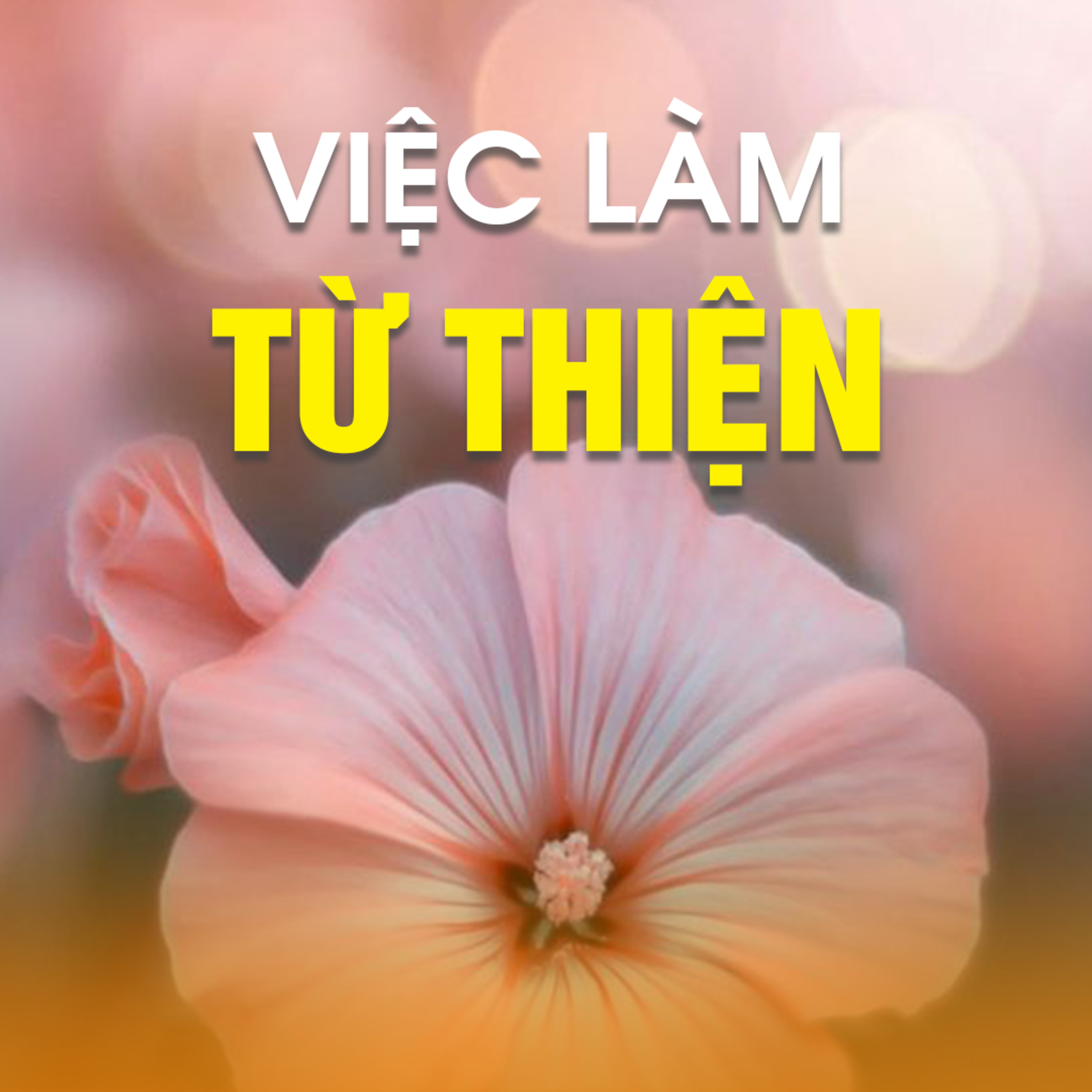 VIỆC LÀM TỪ THIỆN B episode artwork