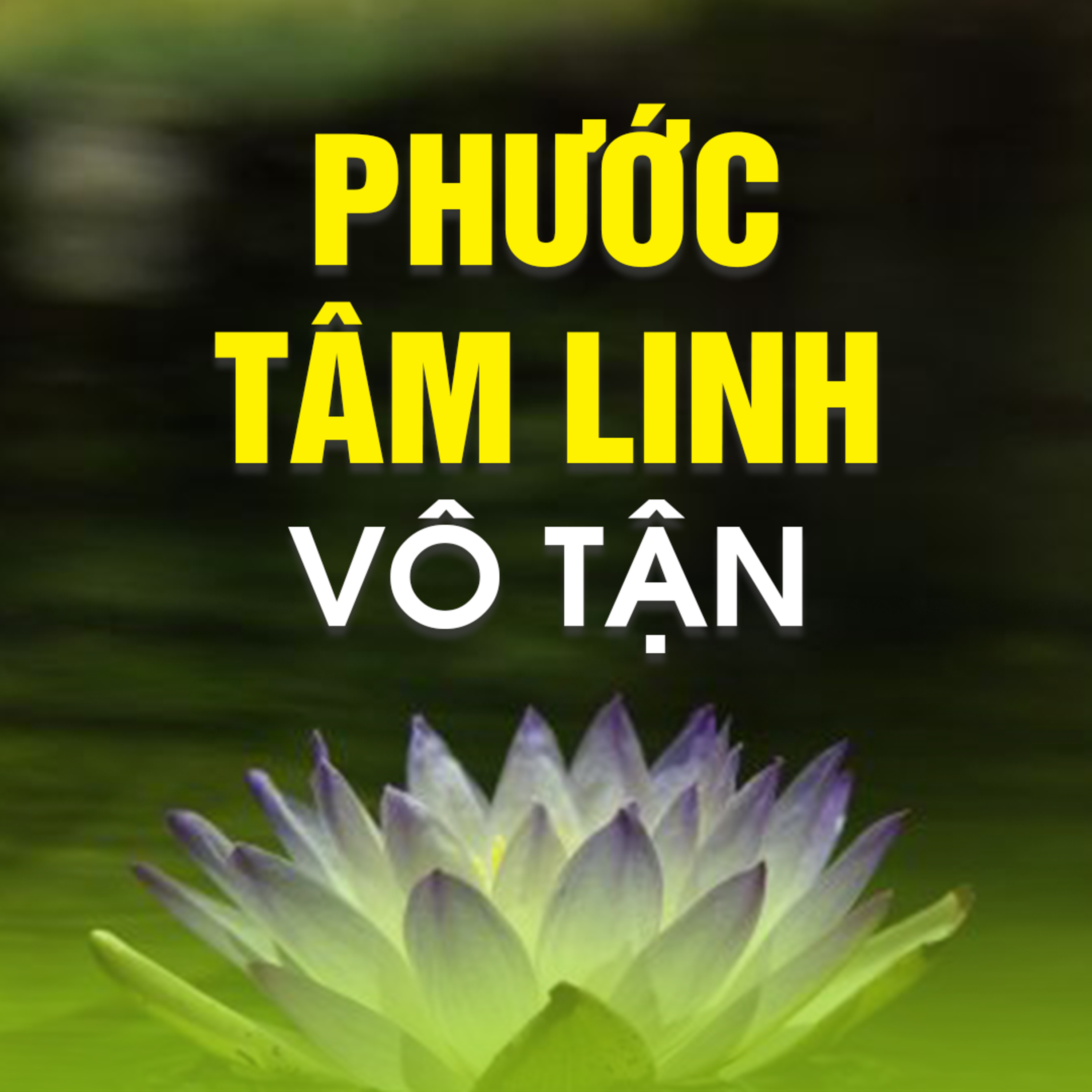 PHƯỚC TÂM LINH VÔ TẬN B - Kinh Kim Cang 10  episode artwork
