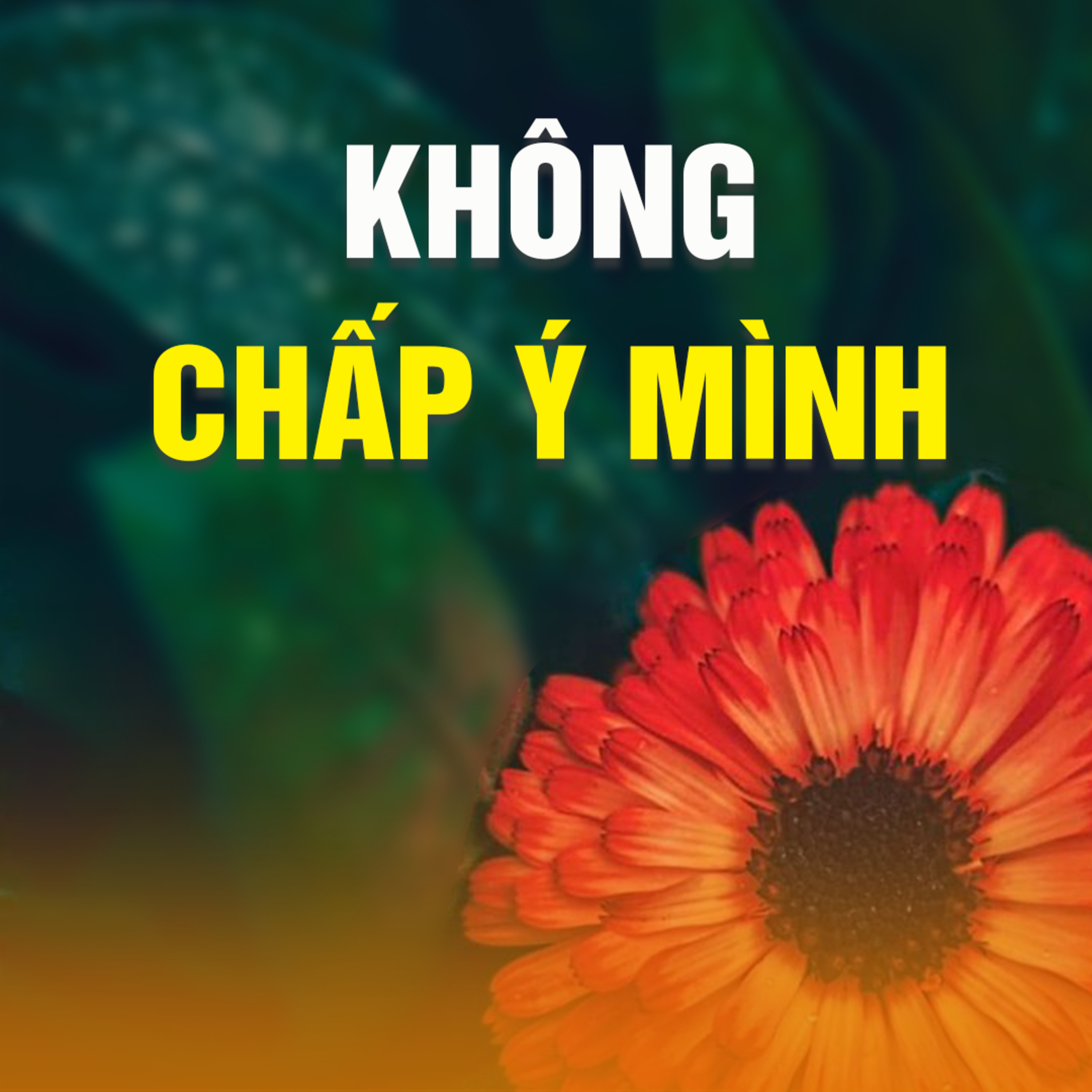 KHÔNG CHẤP Ý MÌNH  episode artwork