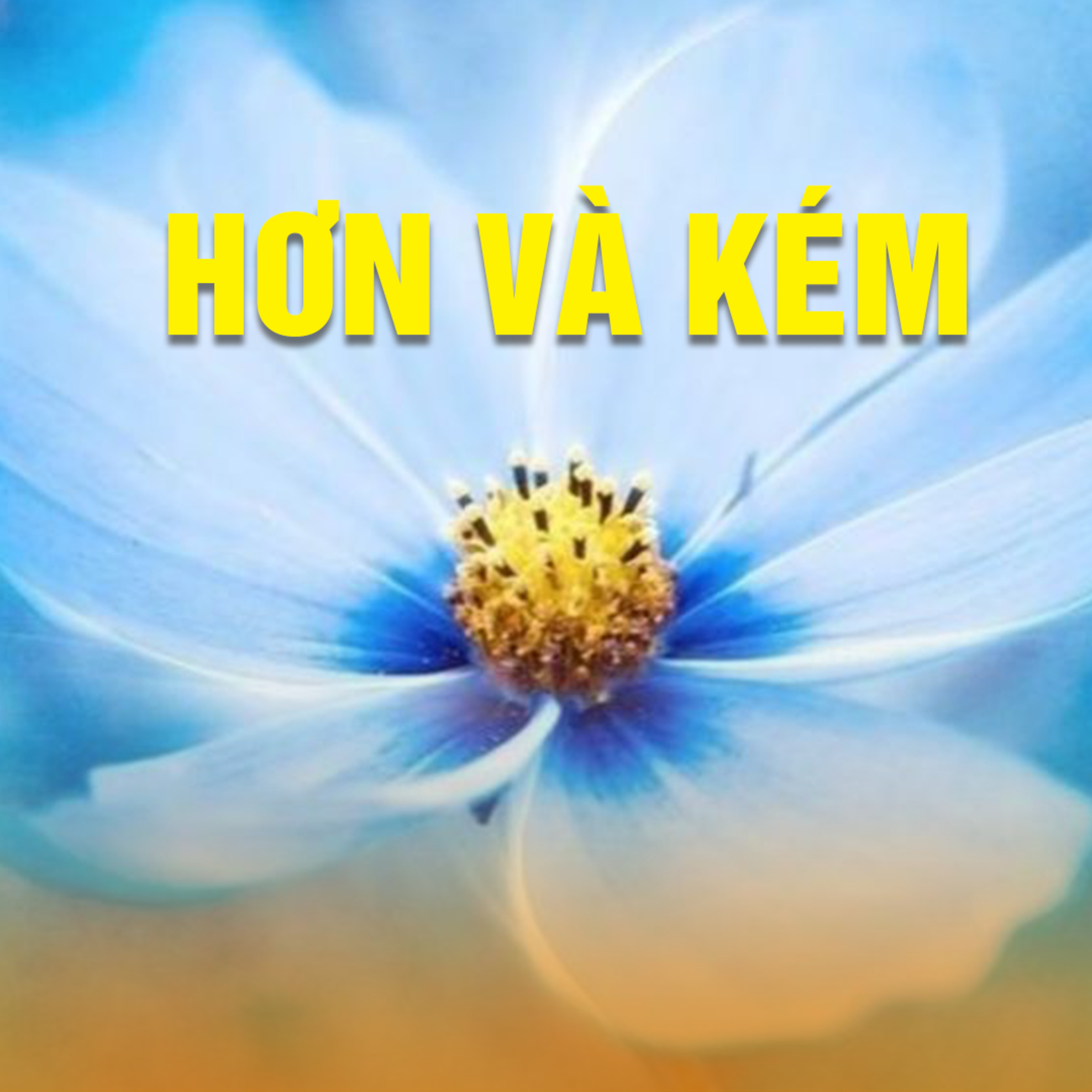 HƠN VÀ KÉM A episode artwork