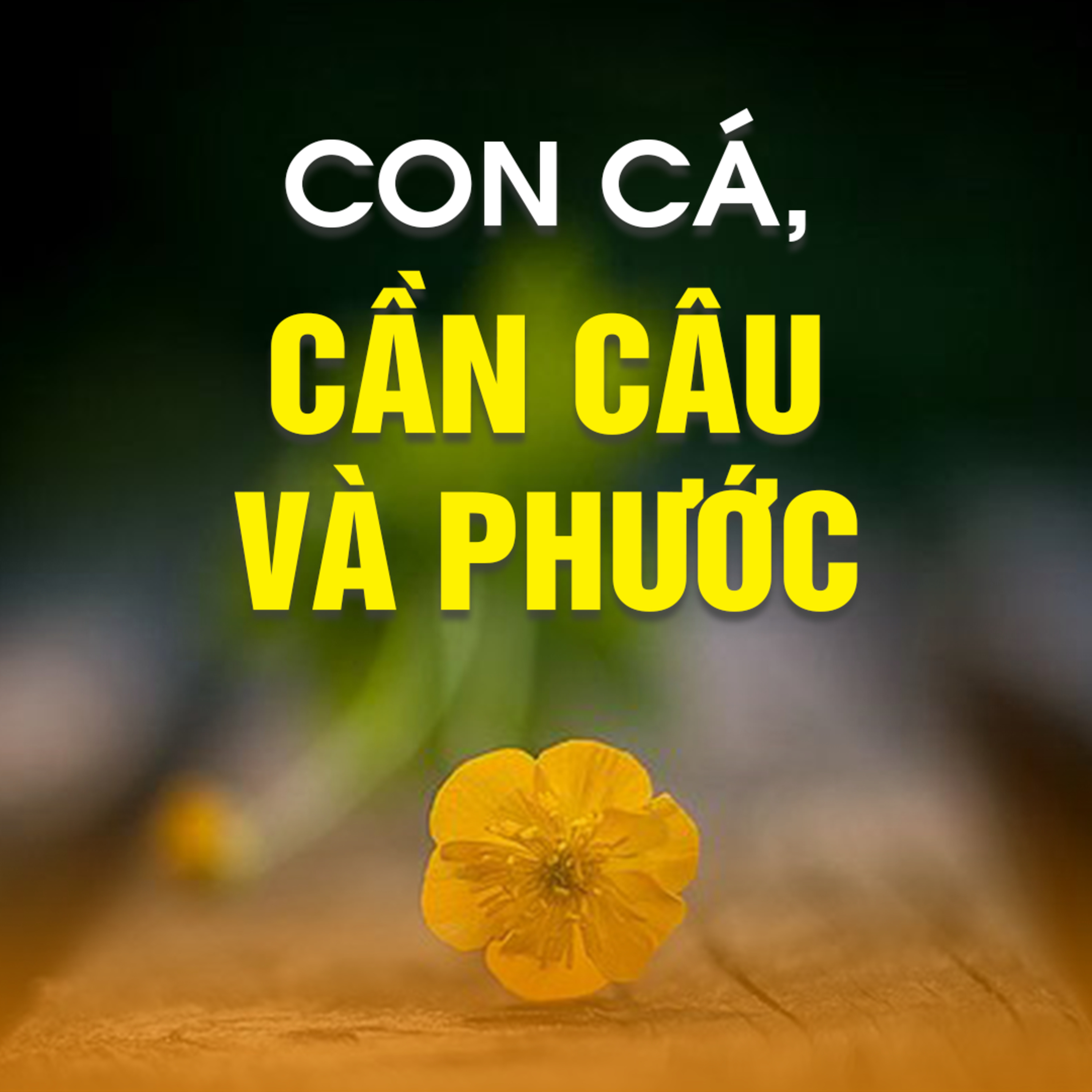 CON CÁ, CẦN CÂU VÀ PHƯỚC  episode artwork