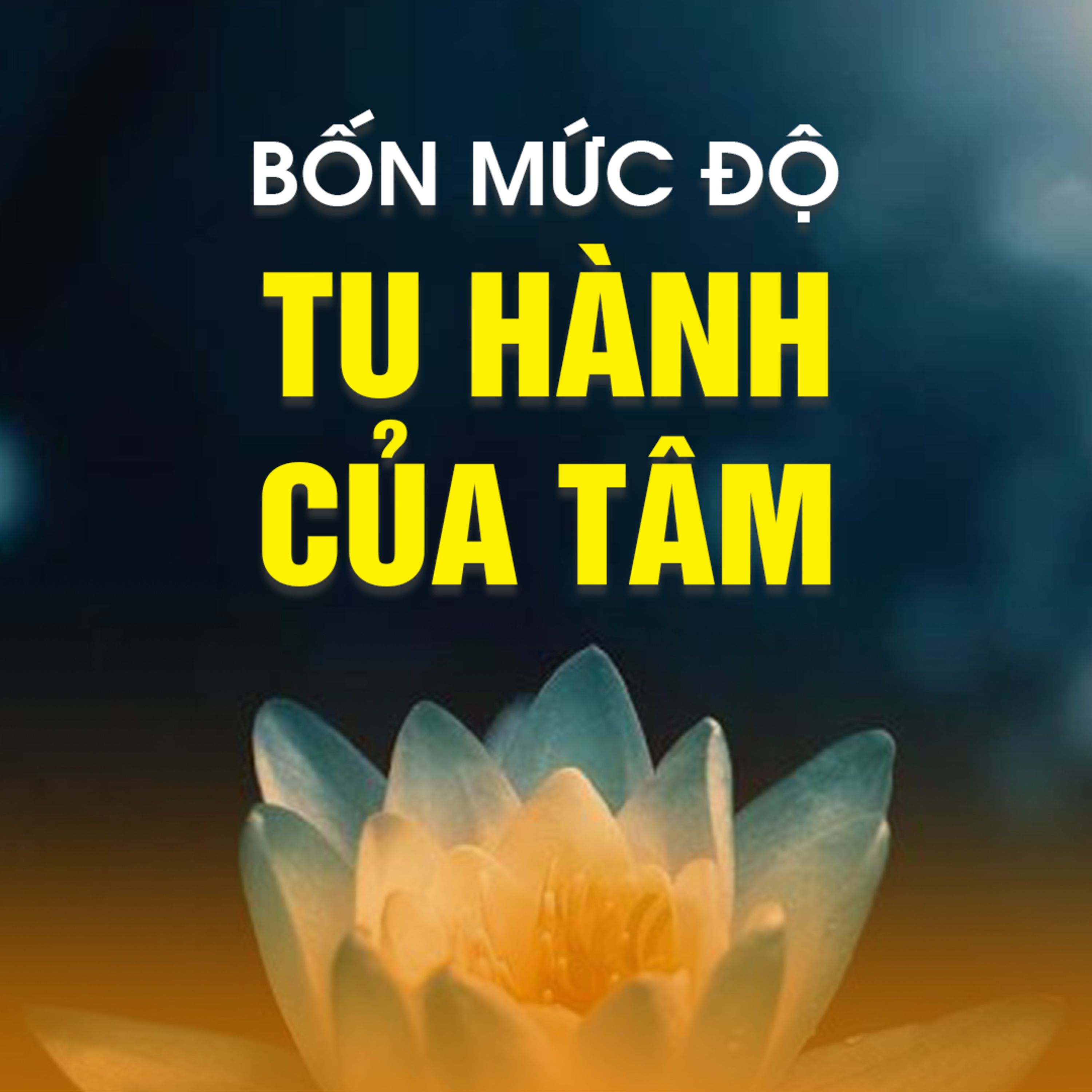 BỐN MỨC ĐỘ TU HÀNH CỦA TÂM  episode artwork