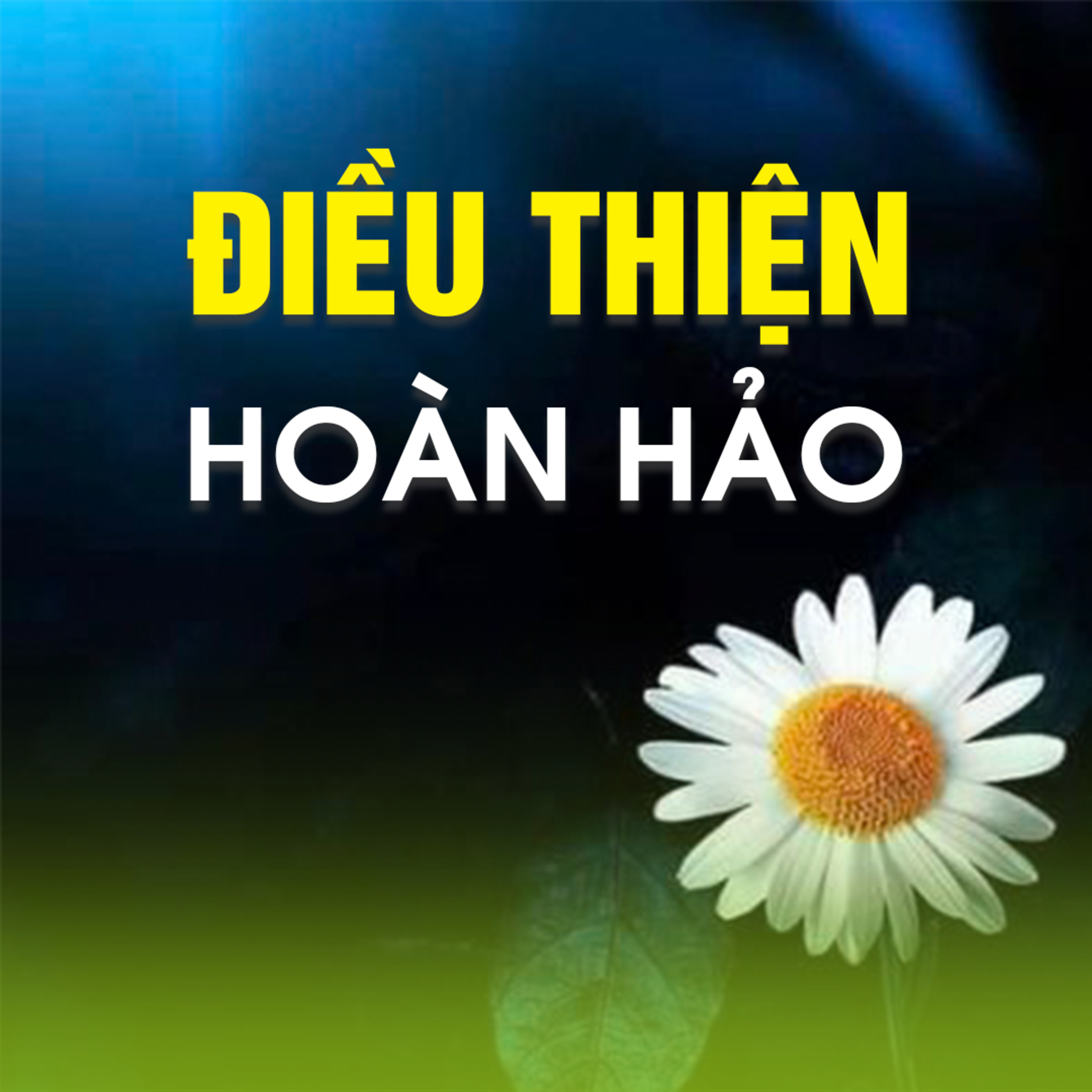 ĐIỀU THIỆN HOÀN HẢO  episode artwork