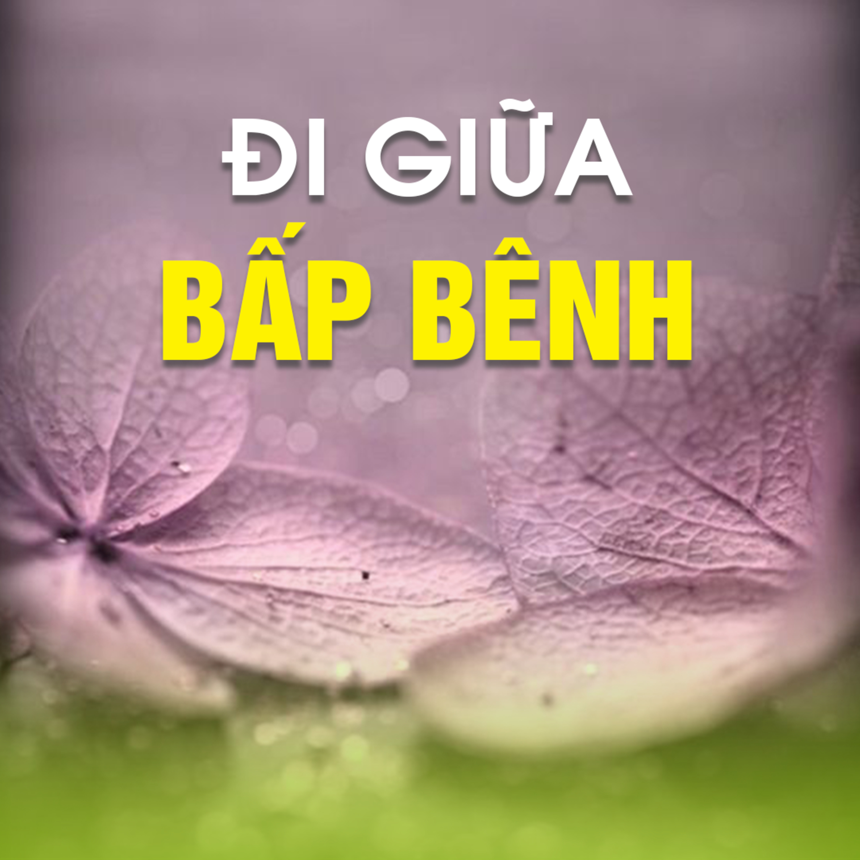 ĐI GIỮA BẤP BÊNH B episode artwork