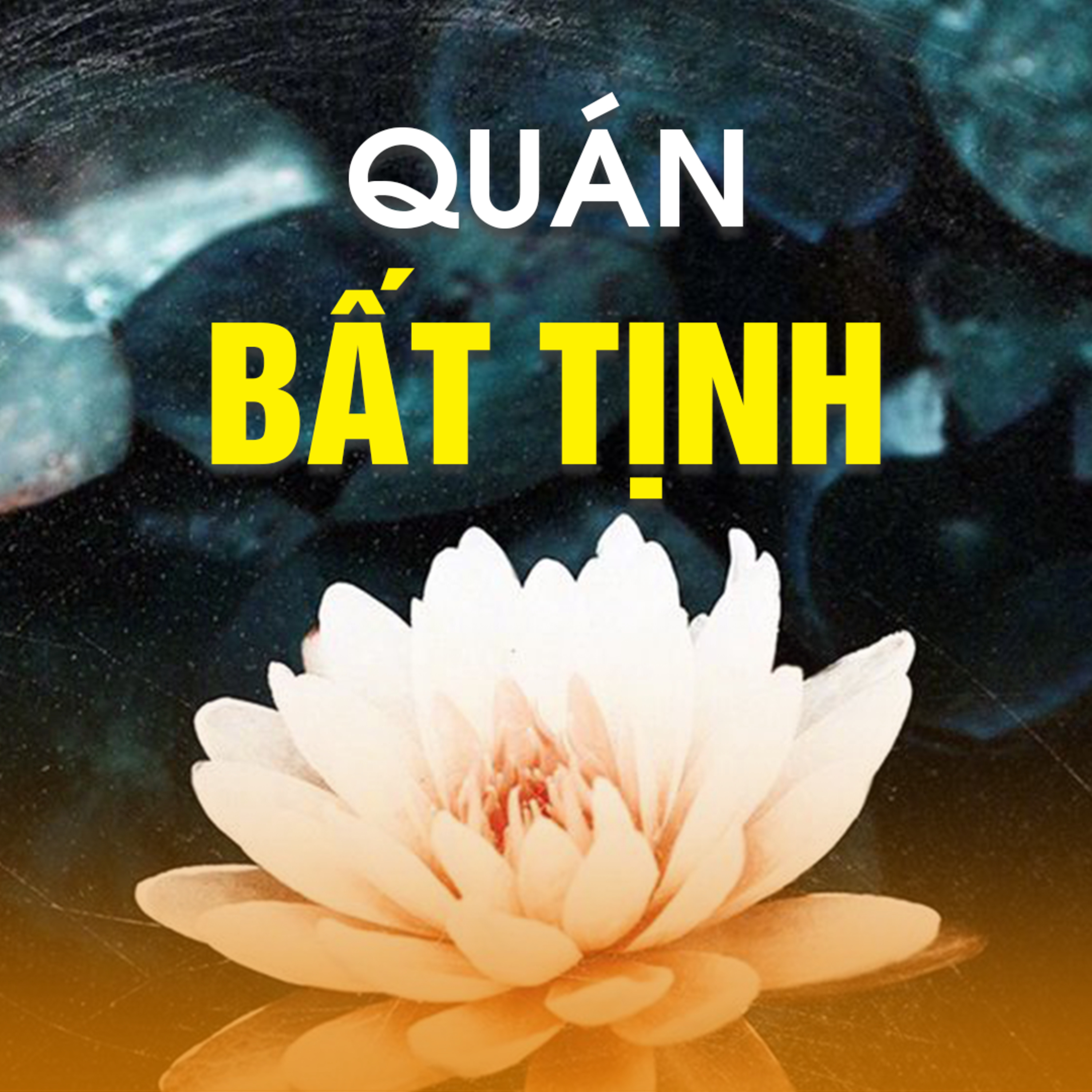 QUÁN BẤT TỊNH A - Pháp Cú 04  episode artwork