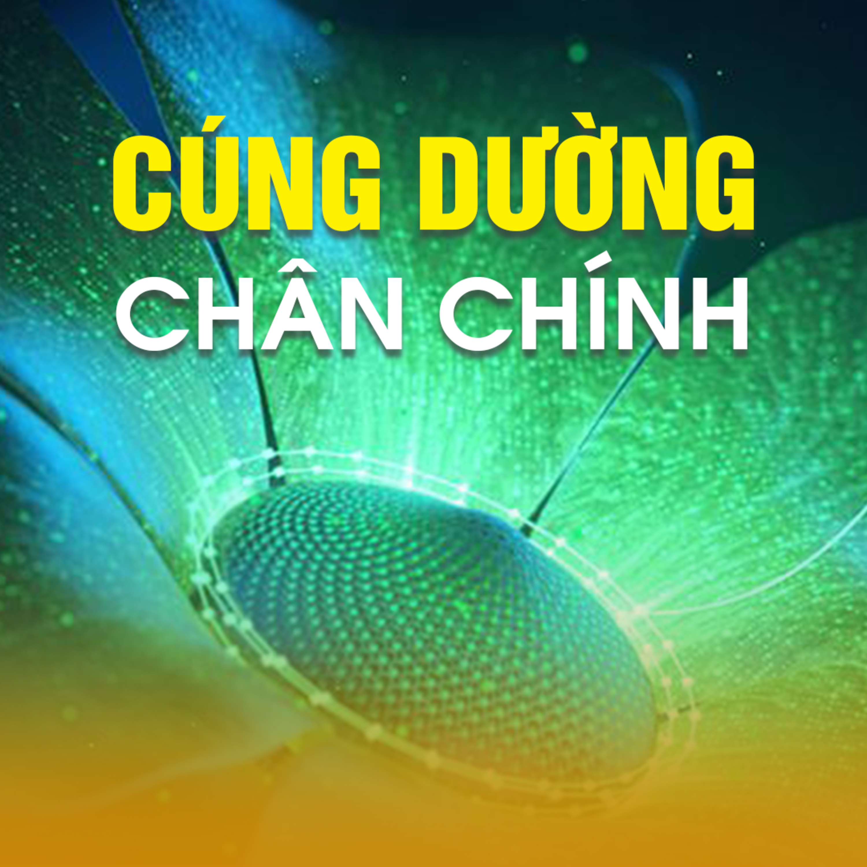 CÚNG DƯỜNG CHÂN CHÍNH B - Pháp Cú 51 