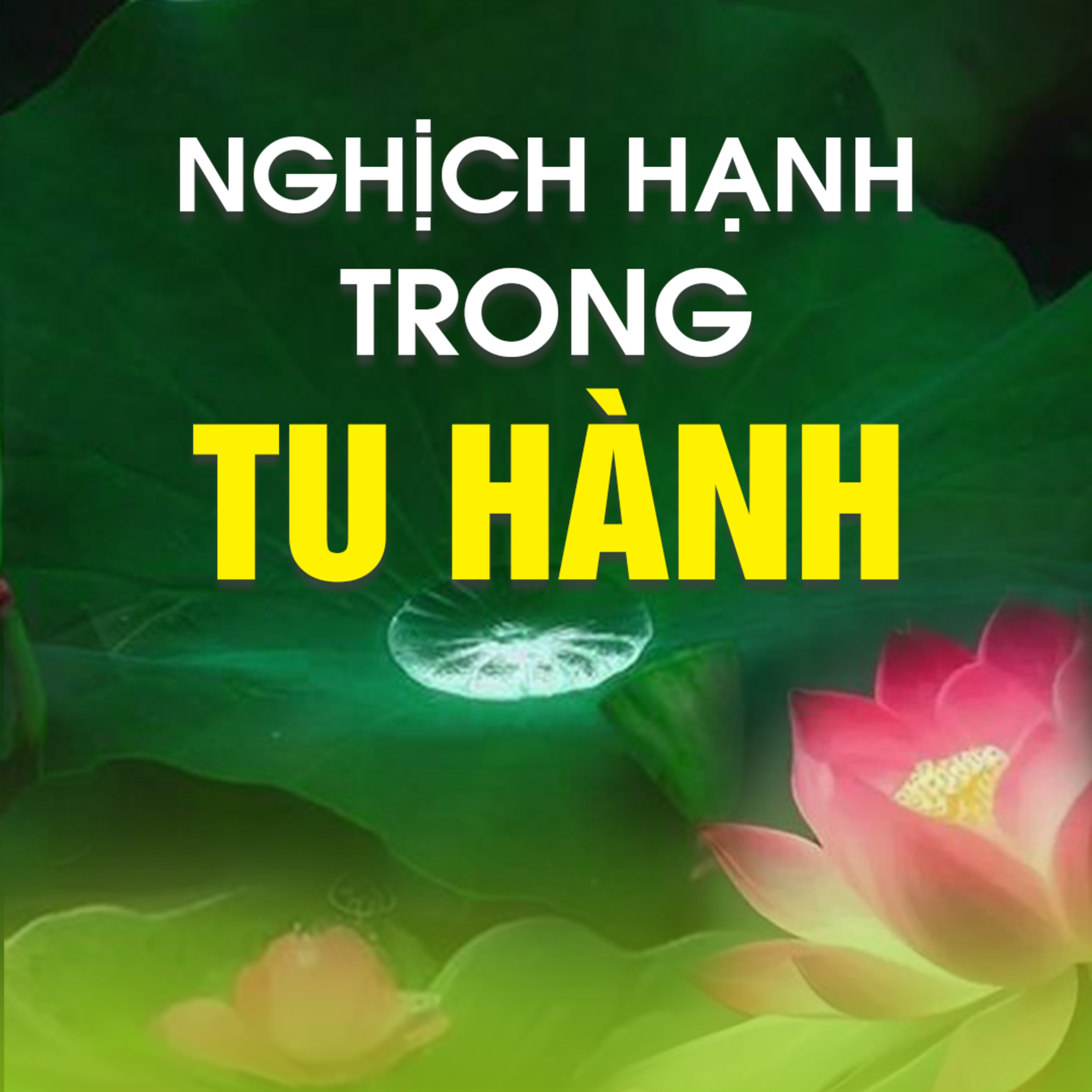 NGHỊCH HẠNH TRONG TU HÀNH A - Pháp Cú 67  episode artwork