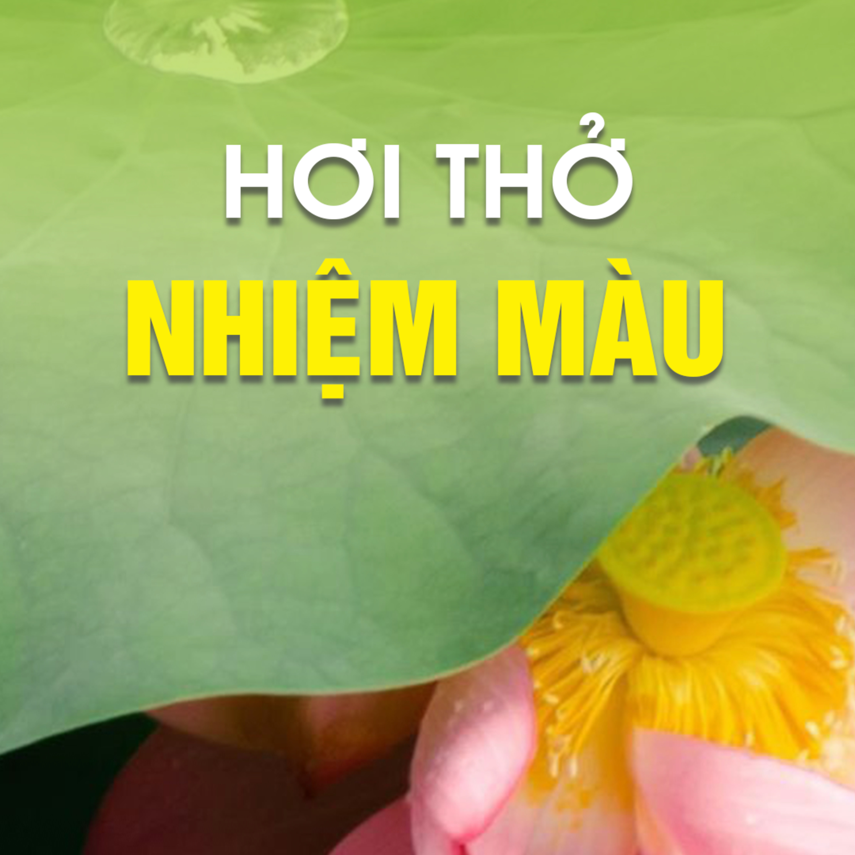 HƠI THỞ NHIỆM MẦU  episode artwork