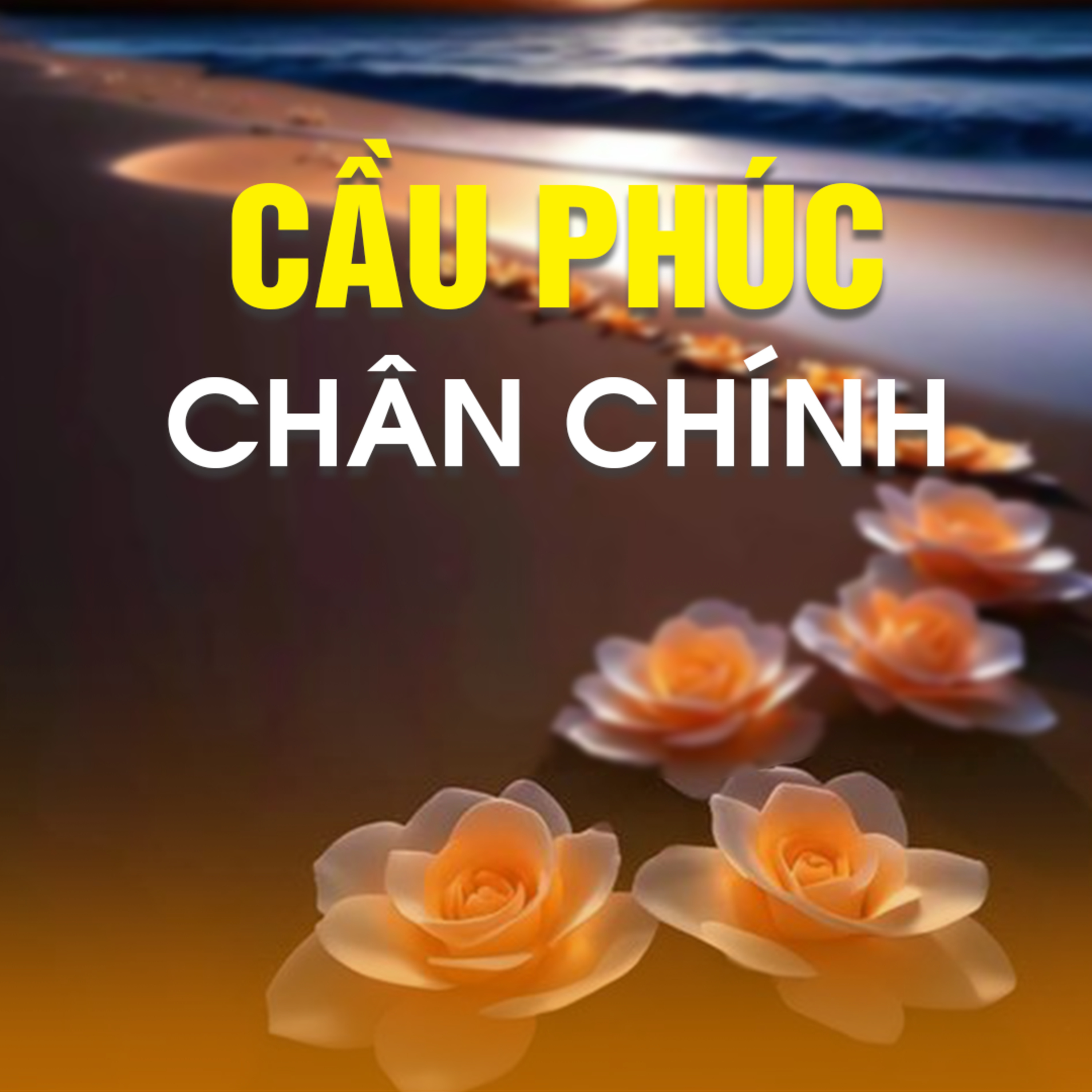 CẦU PHÚC CHÂN CHÍNH  episode artwork