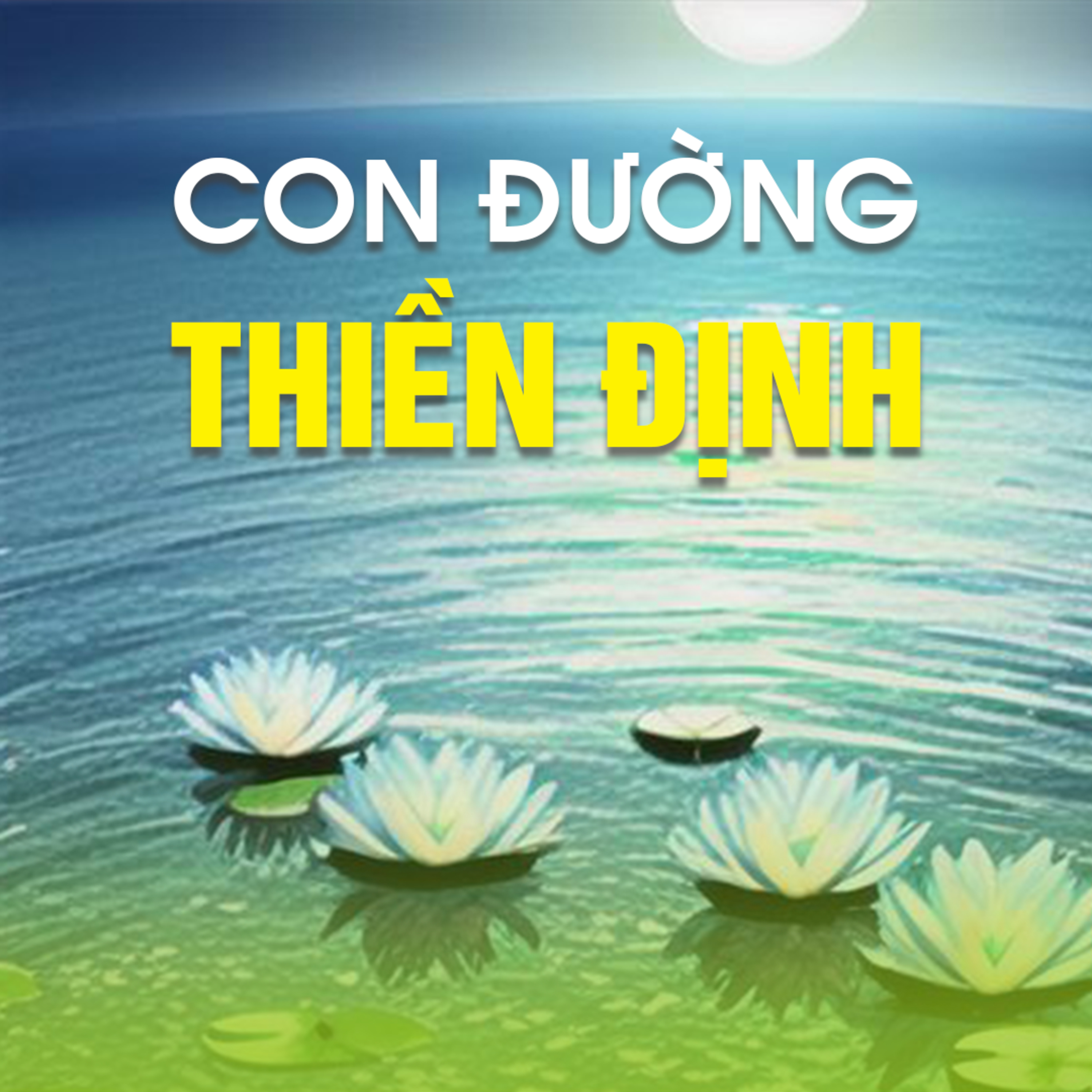 CON ĐƯỜNG THIỀN ĐỊNH A episode artwork