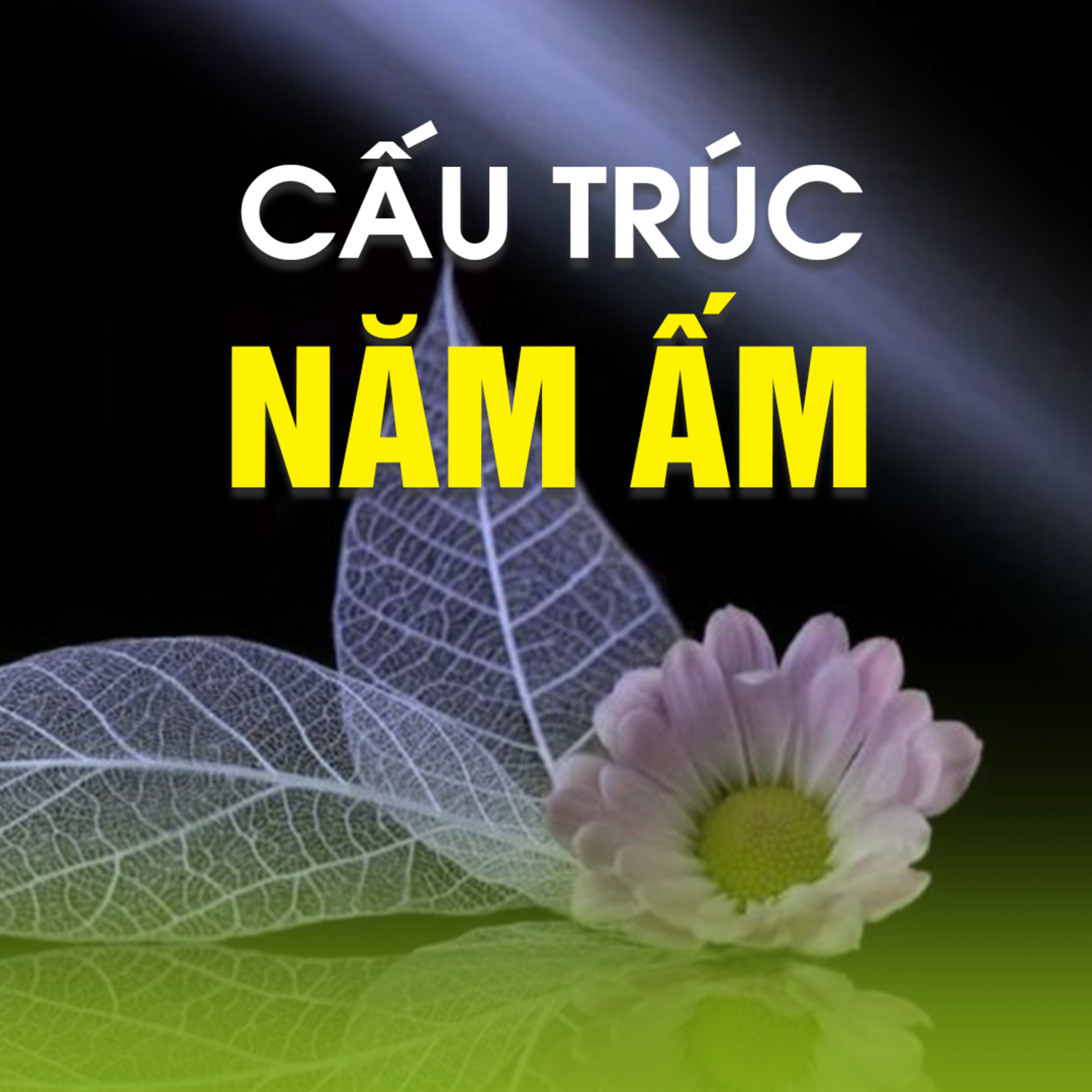 CẤU TRÚC NĂM ẤM 03 - TRÍ NHỚ  episode artwork