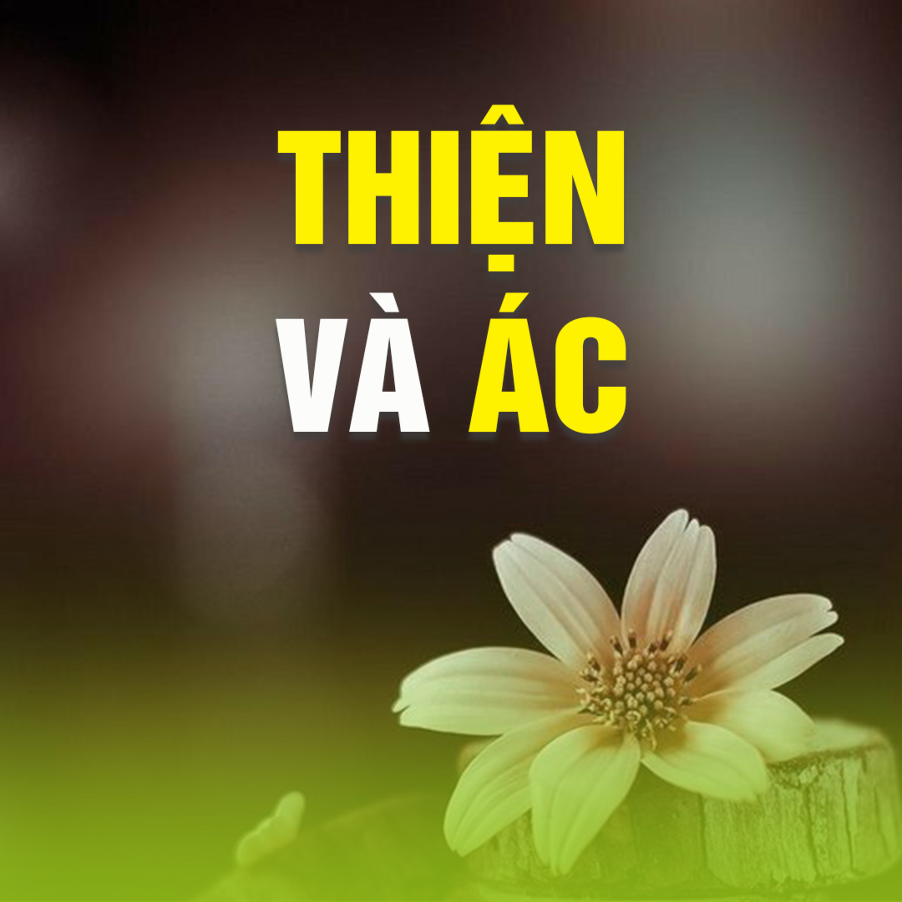 THIỆN VÀ ÁC  episode artwork