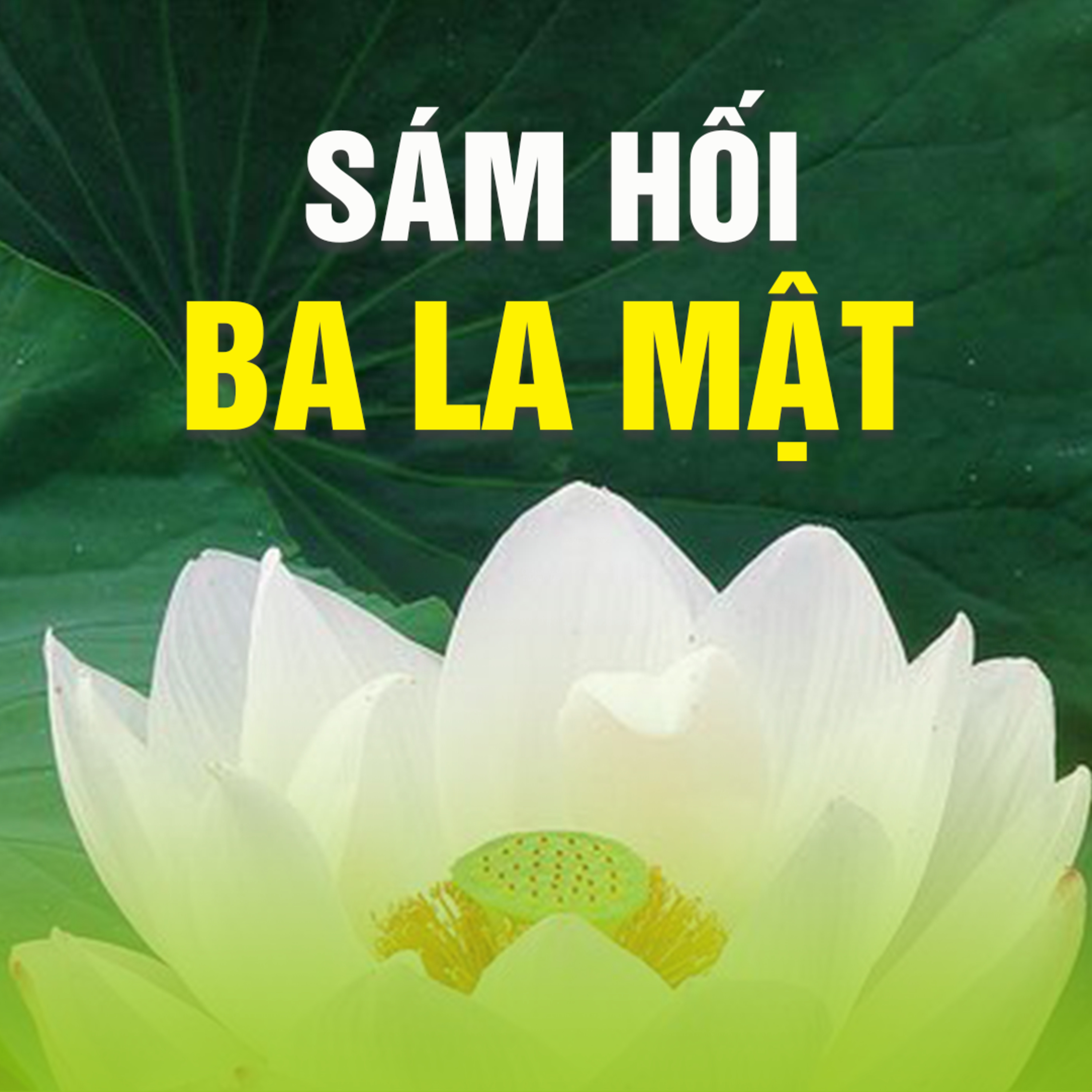 SÁM HỐI BA-LA-MẬT  episode artwork