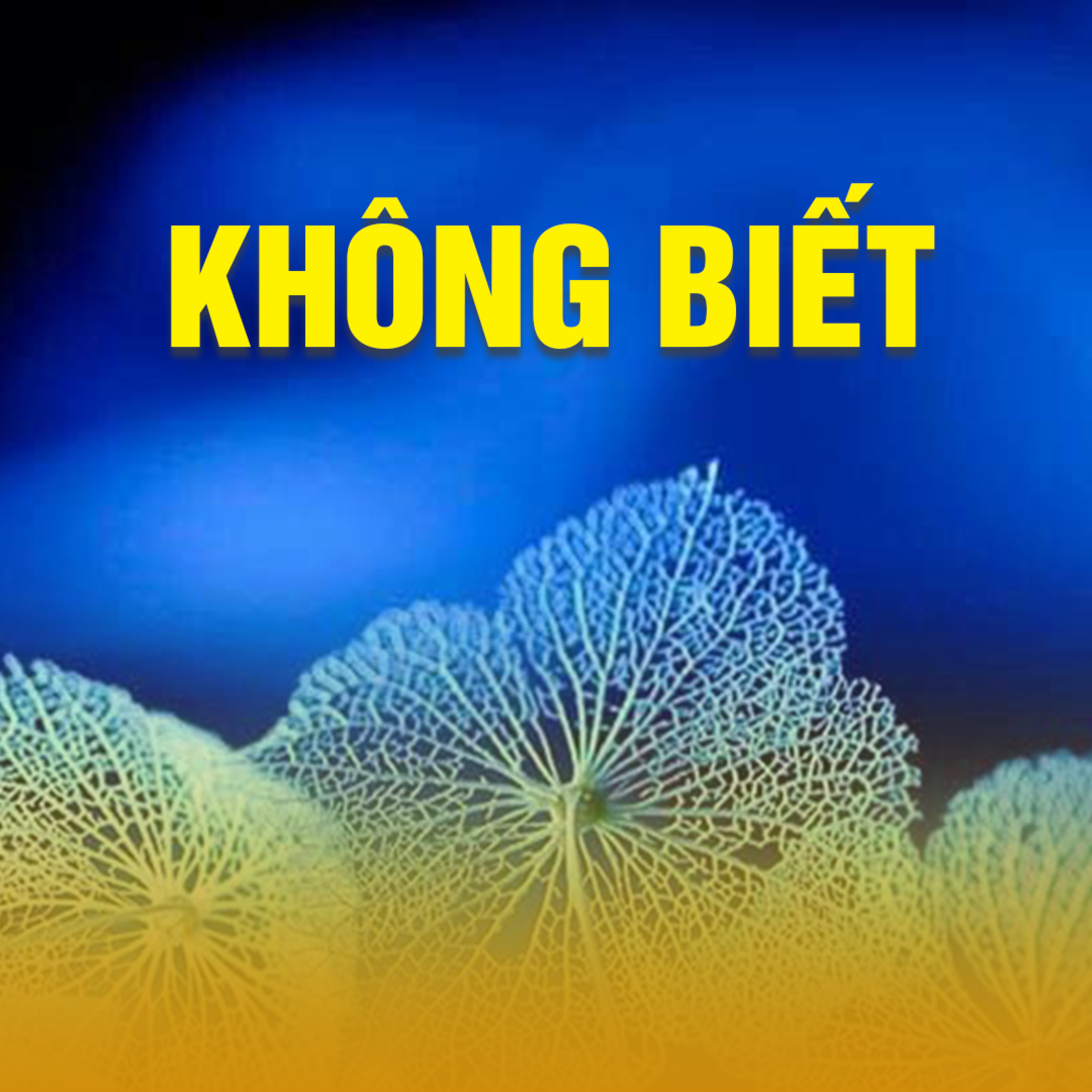 KHÔNG BIẾT B episode artwork