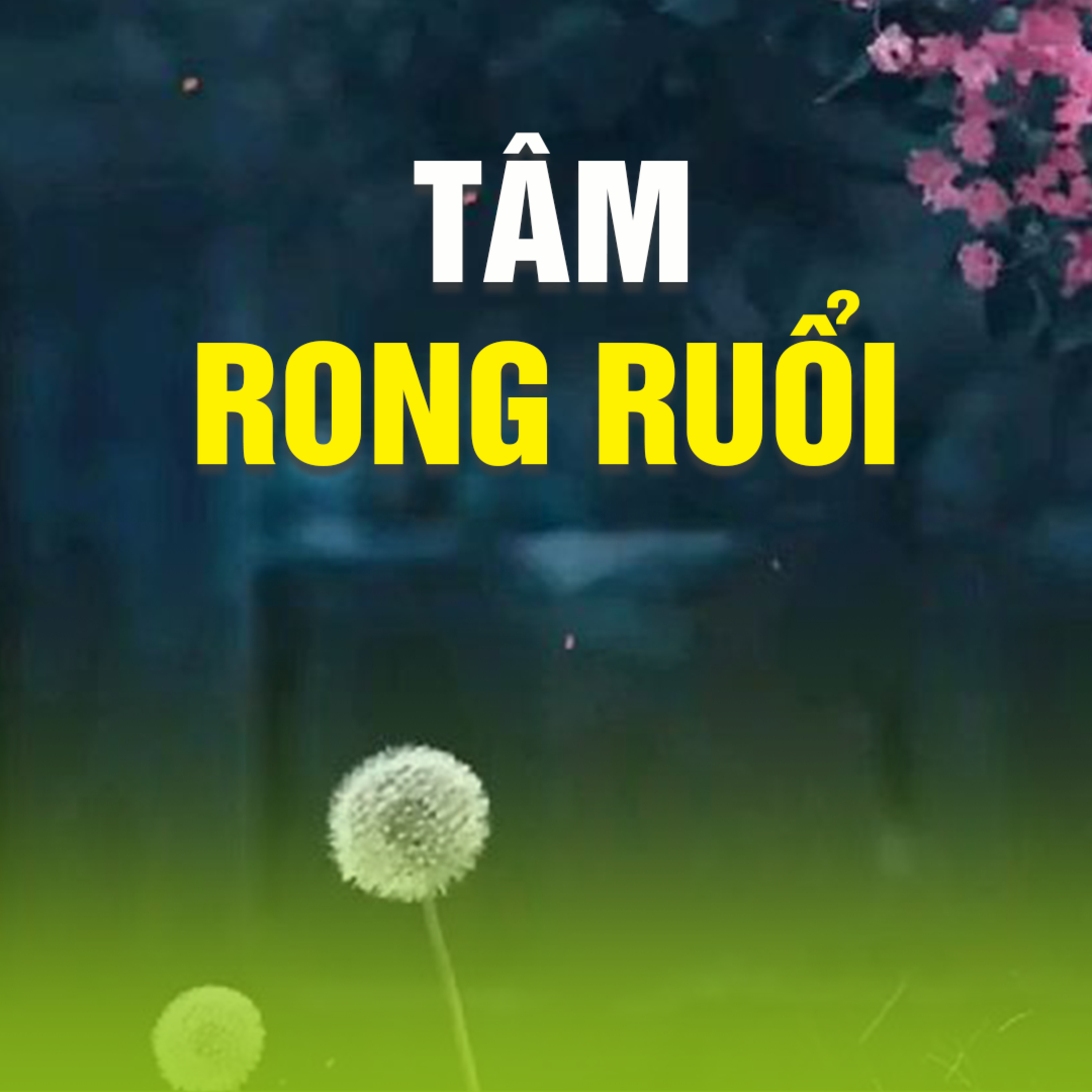 TÂM RONG RUỔI A - Pháp Cú 15  episode artwork