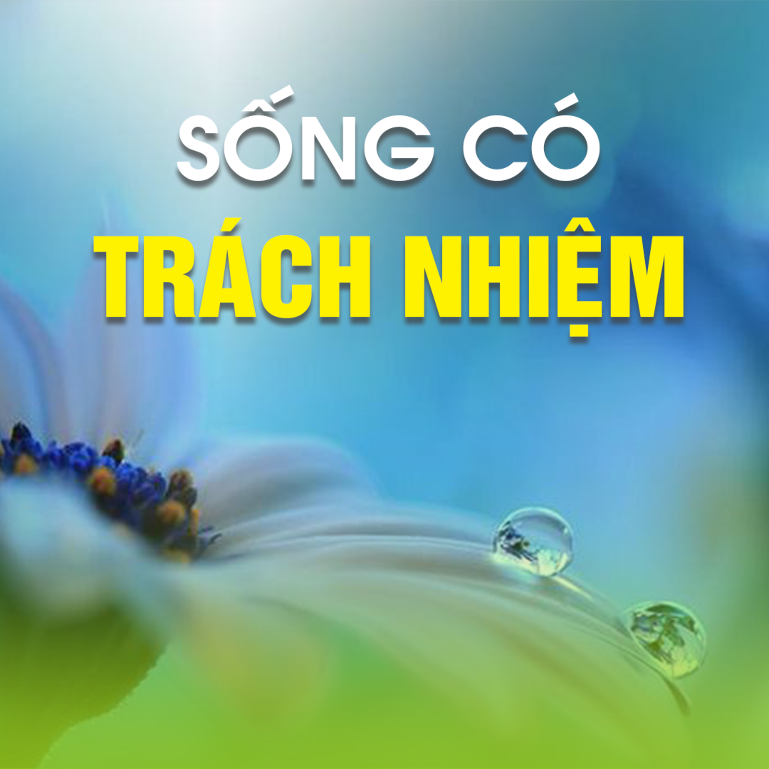 SỐNG CÓ TRÁCH NHIỆM  episode artwork