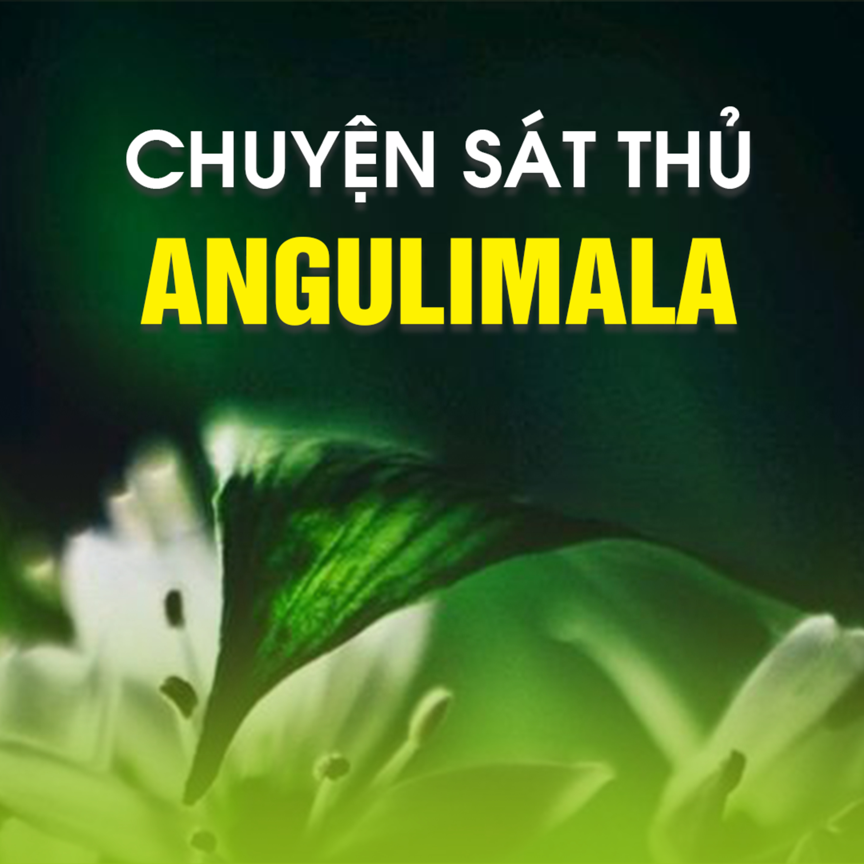 CHUYỆN SÁT THỦ ANGULIMALA A - Pháp cú 52  episode artwork
